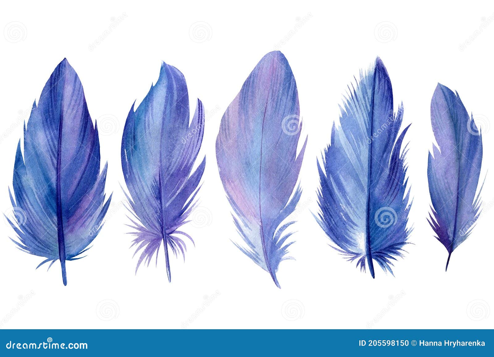 bird feather clip art