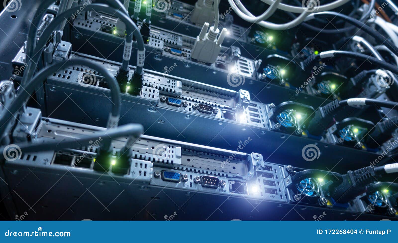 Many Optical Cables Are Connected To One Patch Panel RoyaltyFree Stock