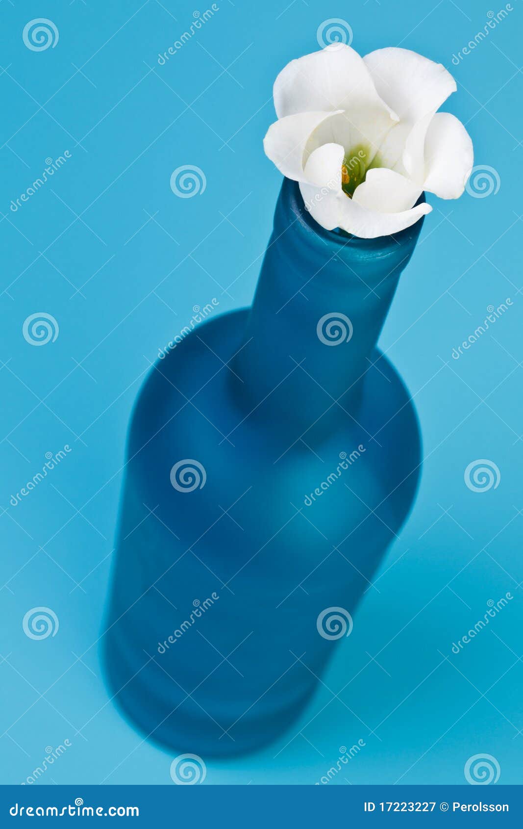 Blue bottle with flower stock image. Image of freshness 17223227