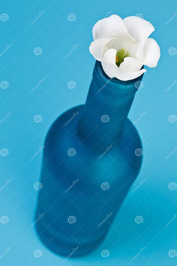 Blue bottle with flower stock image. Image of freshness 17223227