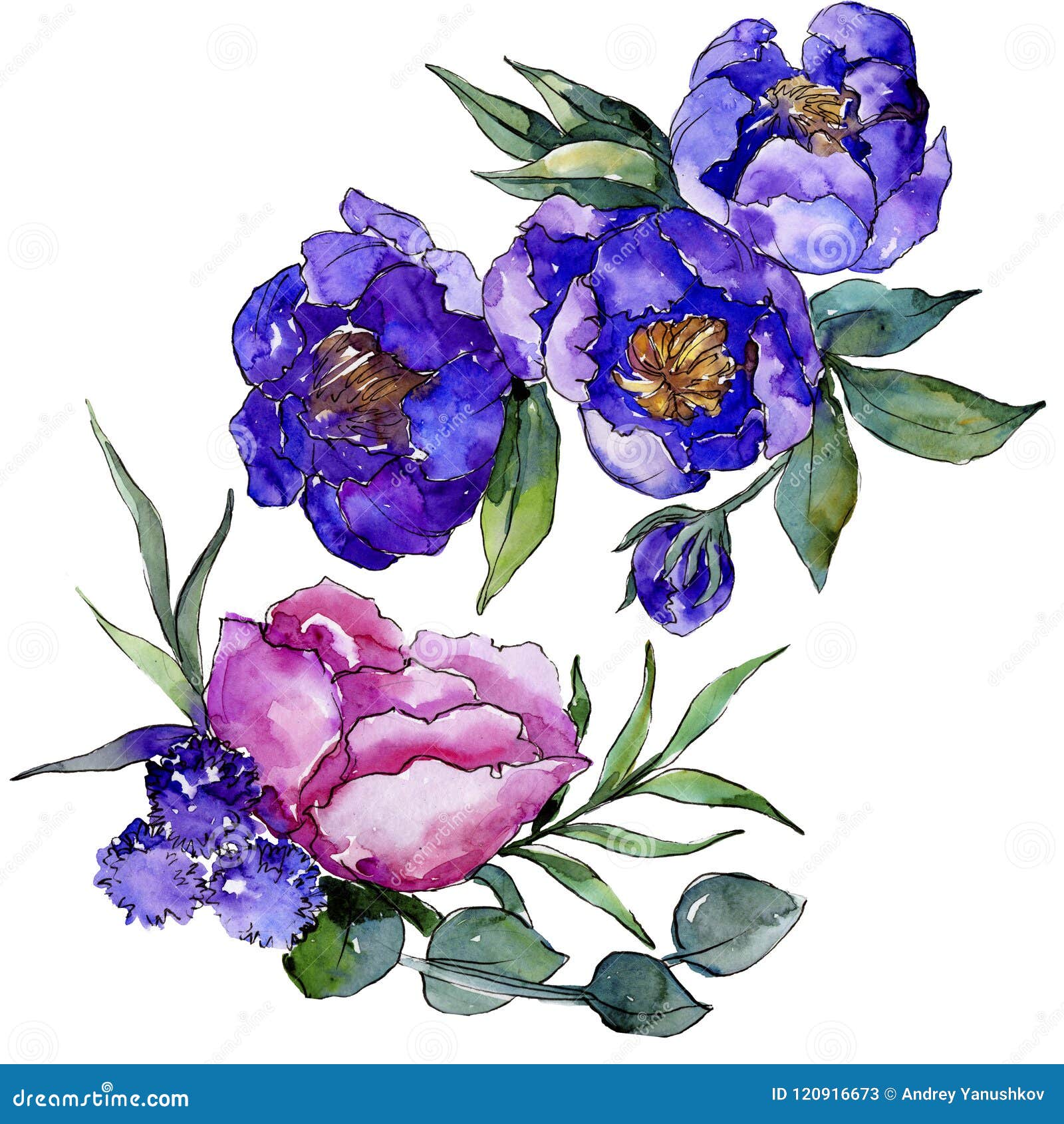 Blue Bouquet Flowers. Floral Botanical Flower. Isolated Illustration ...