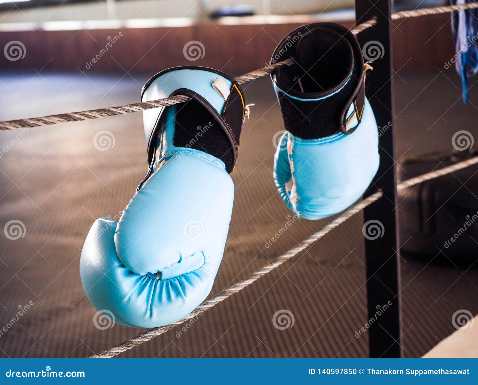 Blue Boxing Gloves Hanging on the Boxing Ring Stock Photo Image of