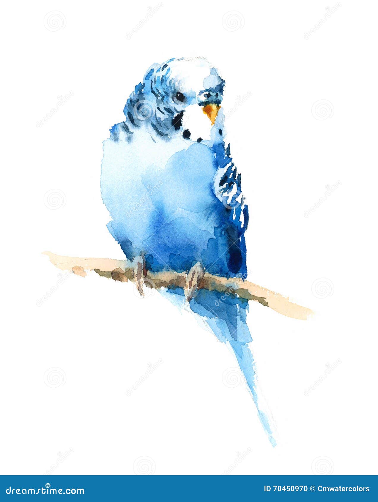 Blue Budgerigar Parakeet Watercolor Exotic Bird ...