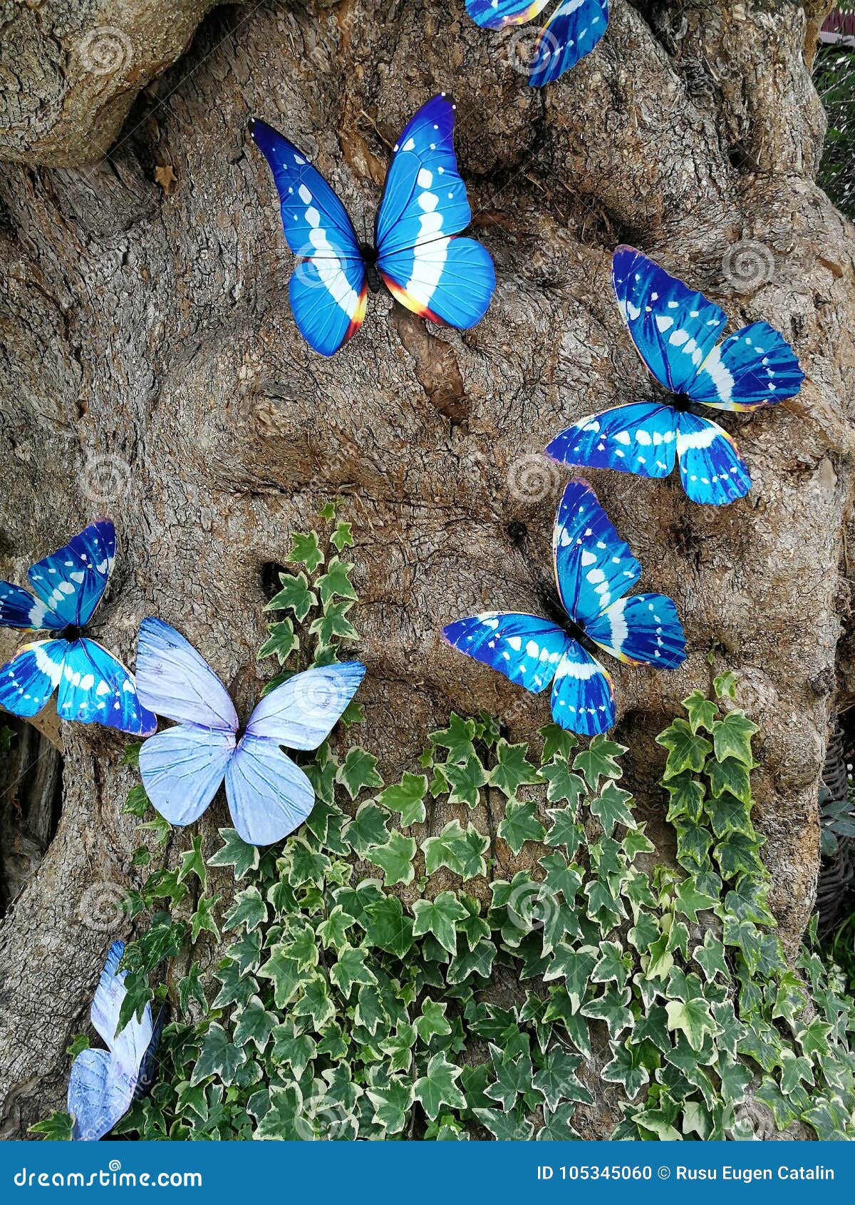 Blue butterflies in nature stock Image of background 105345060
