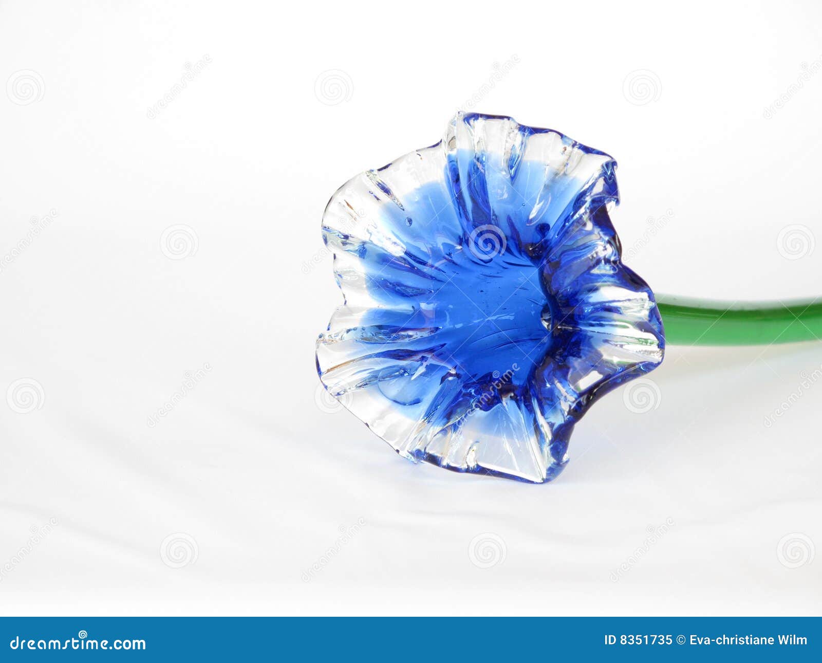 blue glass calyx flower
