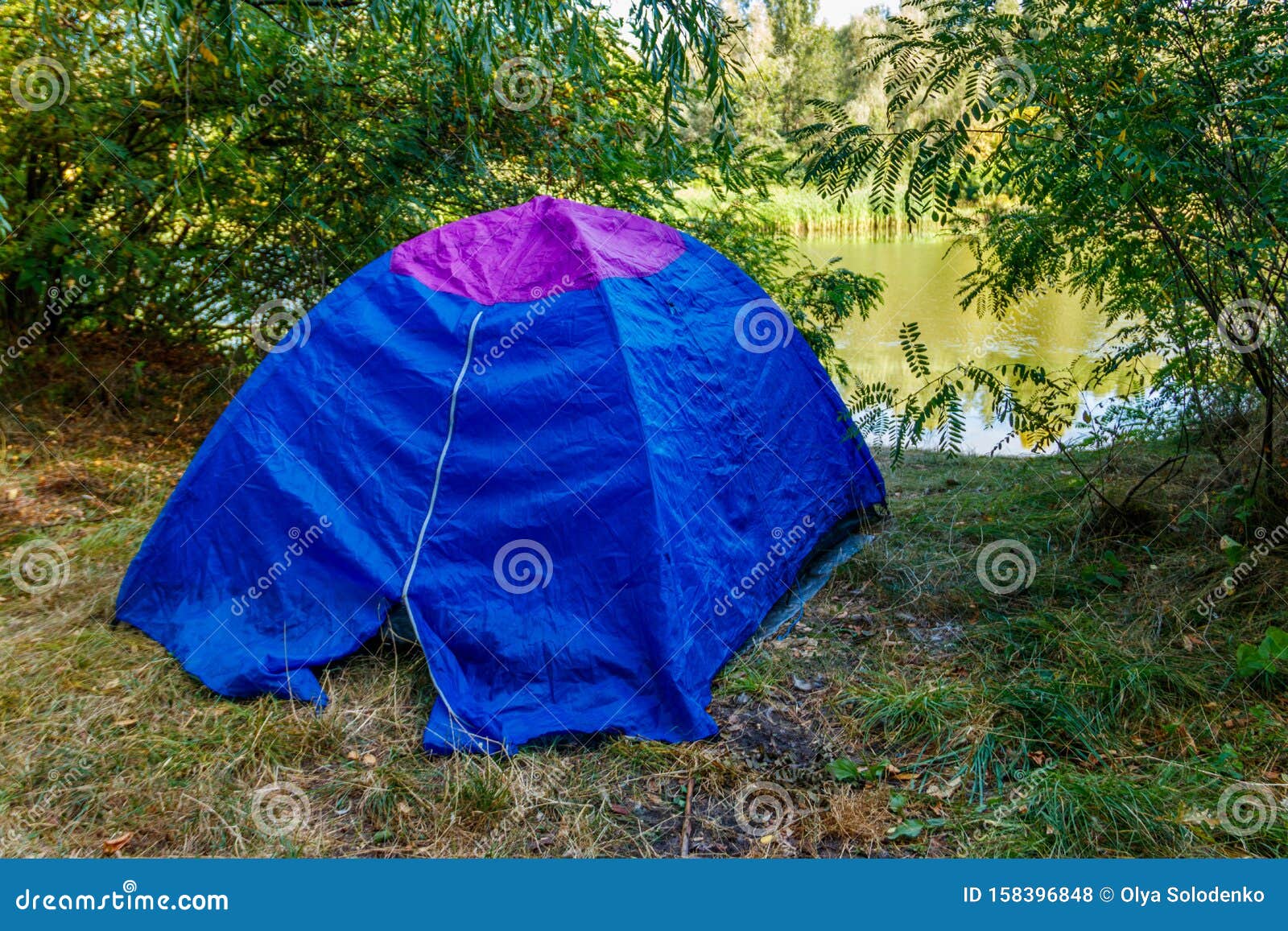 Blue Camping Tent in Forest Near River Stock Photo Image of adventure