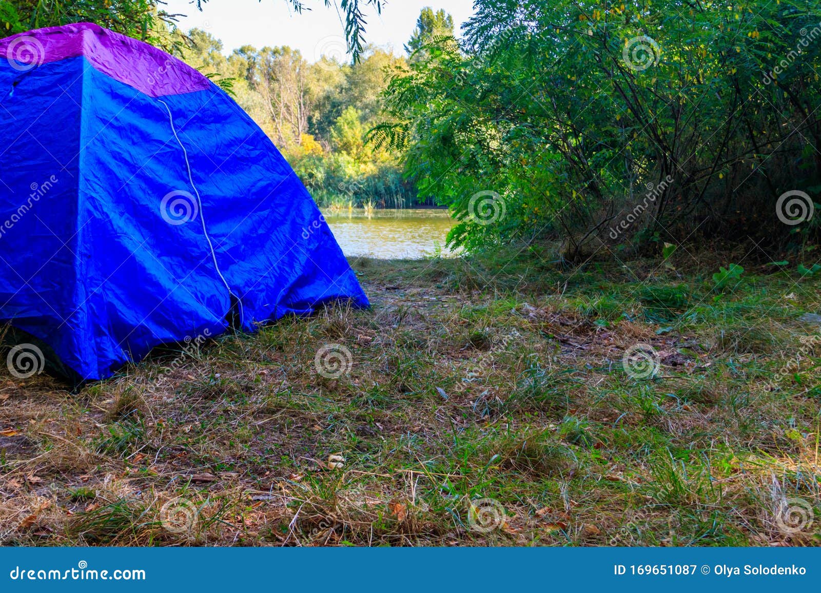 Blue Camping Tent in Forest Near a River Stock Image Image of