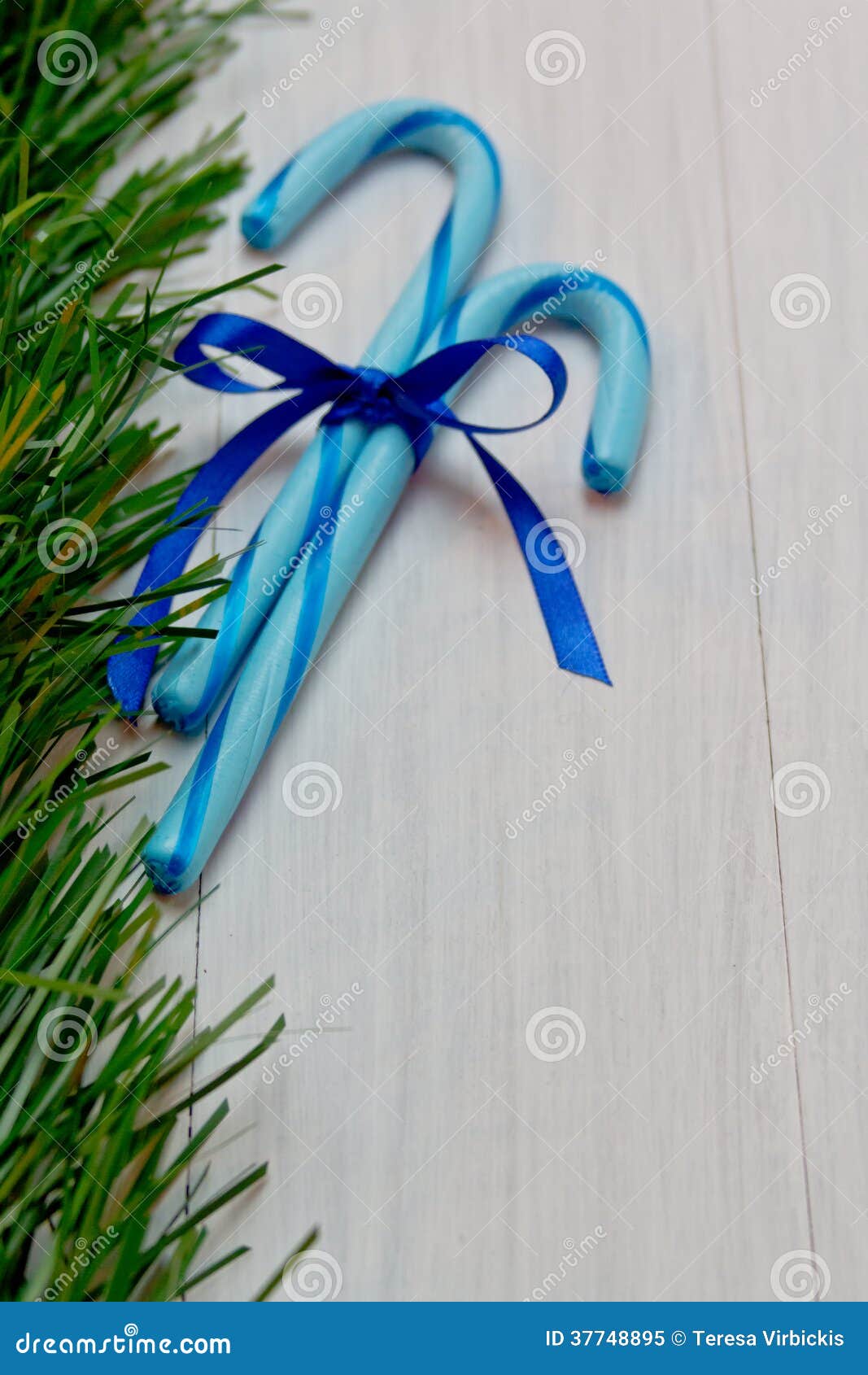 Blue Candy Canes stock image. Image of green, tied, country 37748895