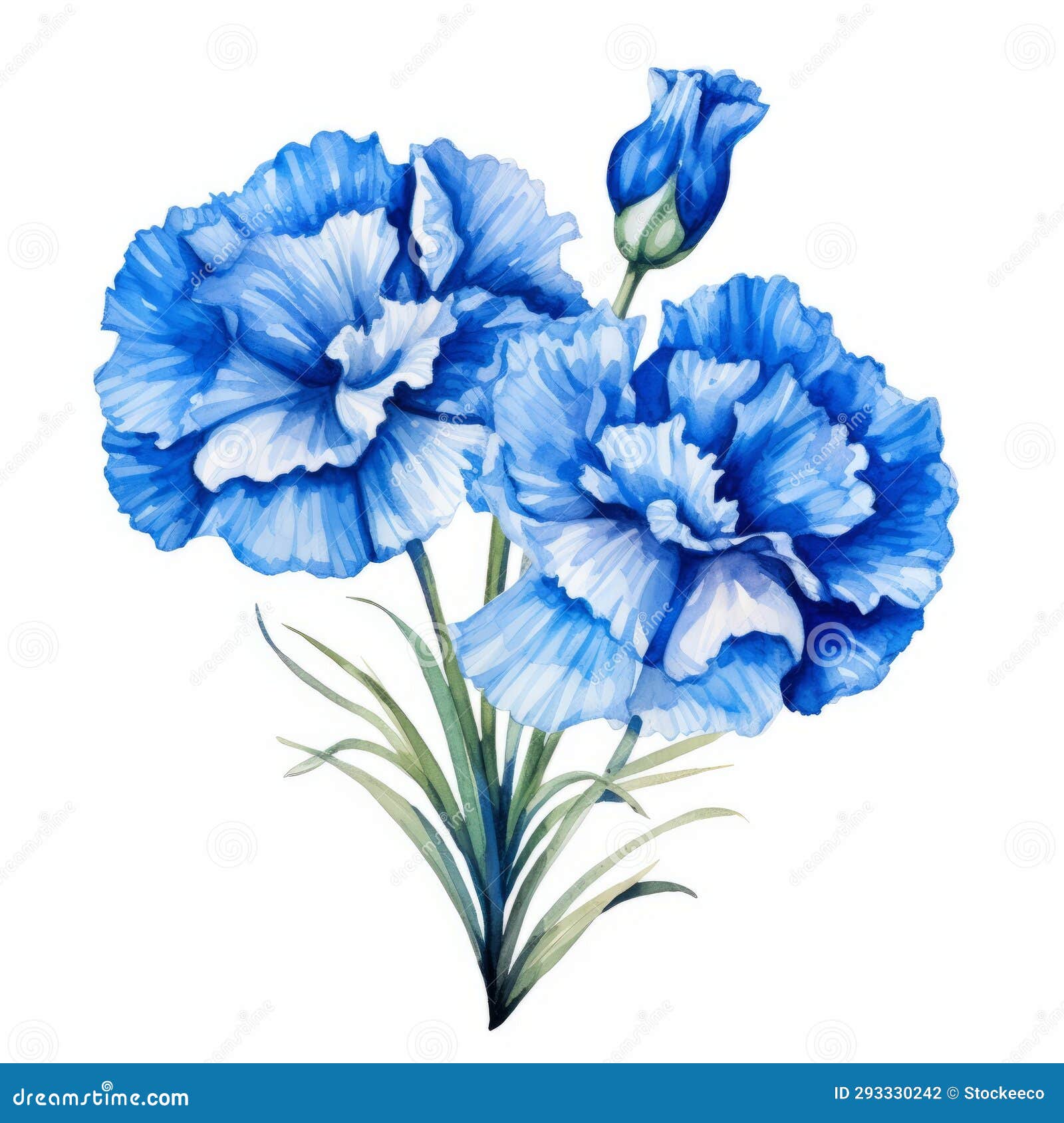 Antique Carnation- Cobalt