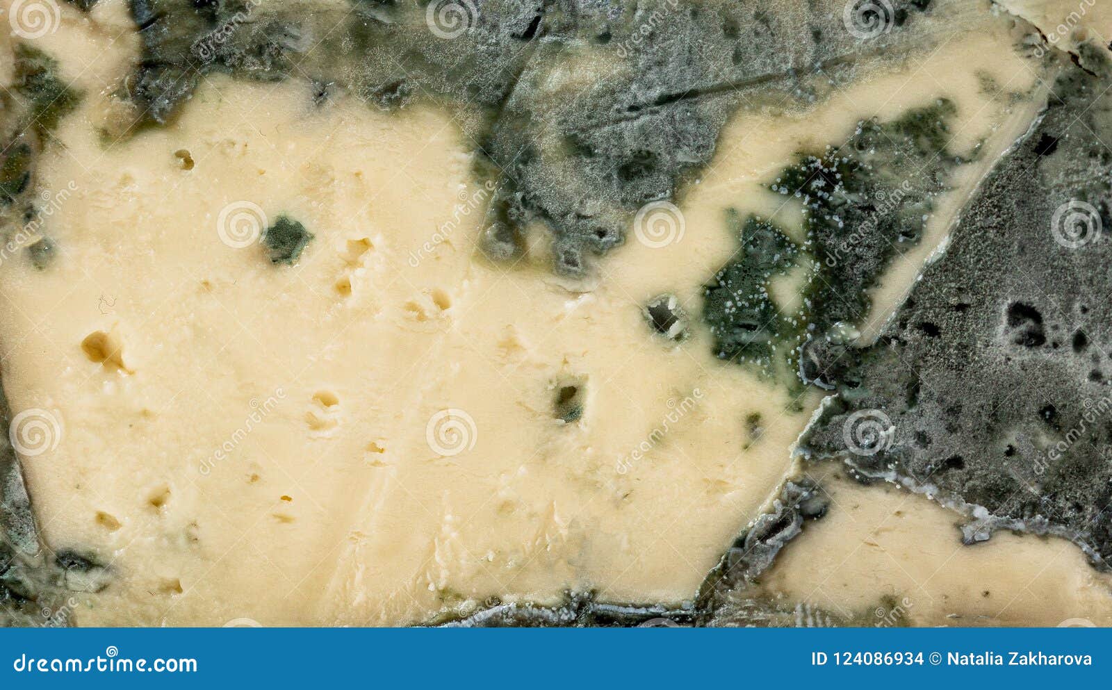 Blue Cheese Mold Cheese Textured Background Stock Photo