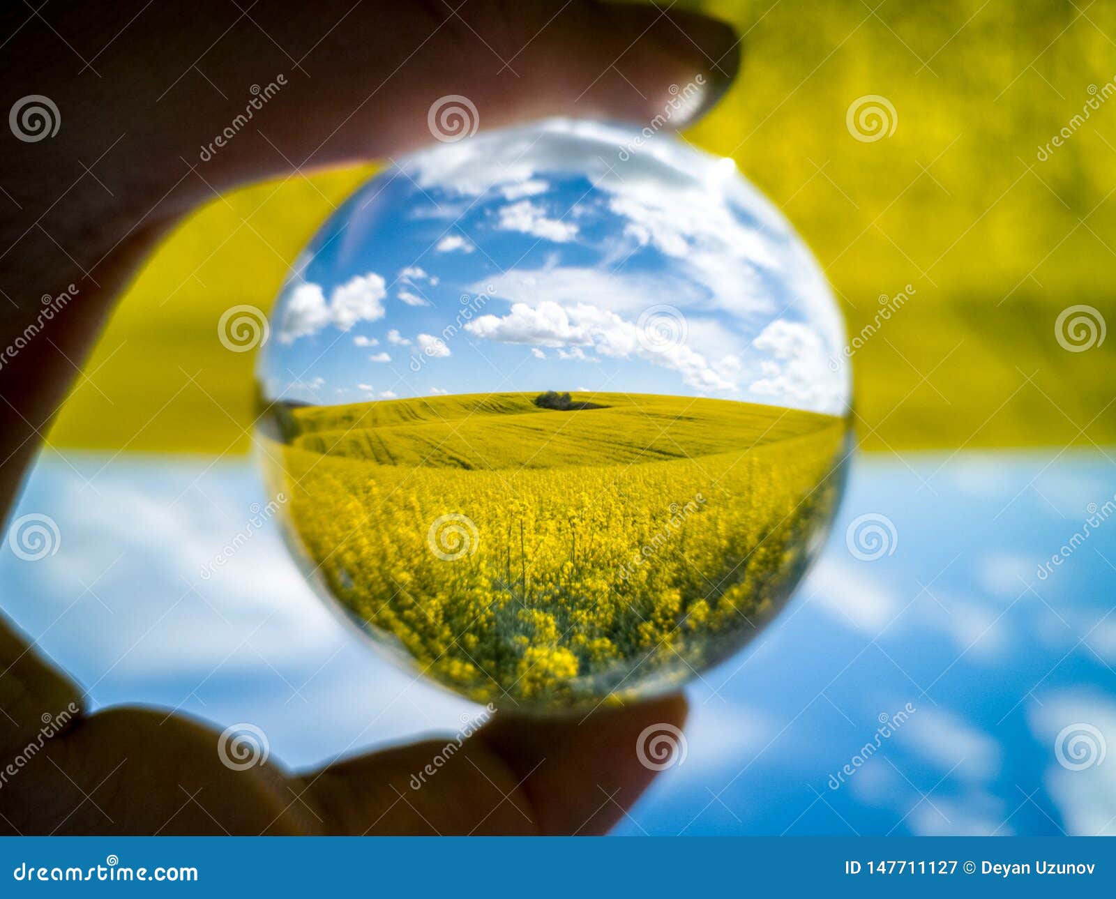 blue cloudy sky and yellow fields through lensball