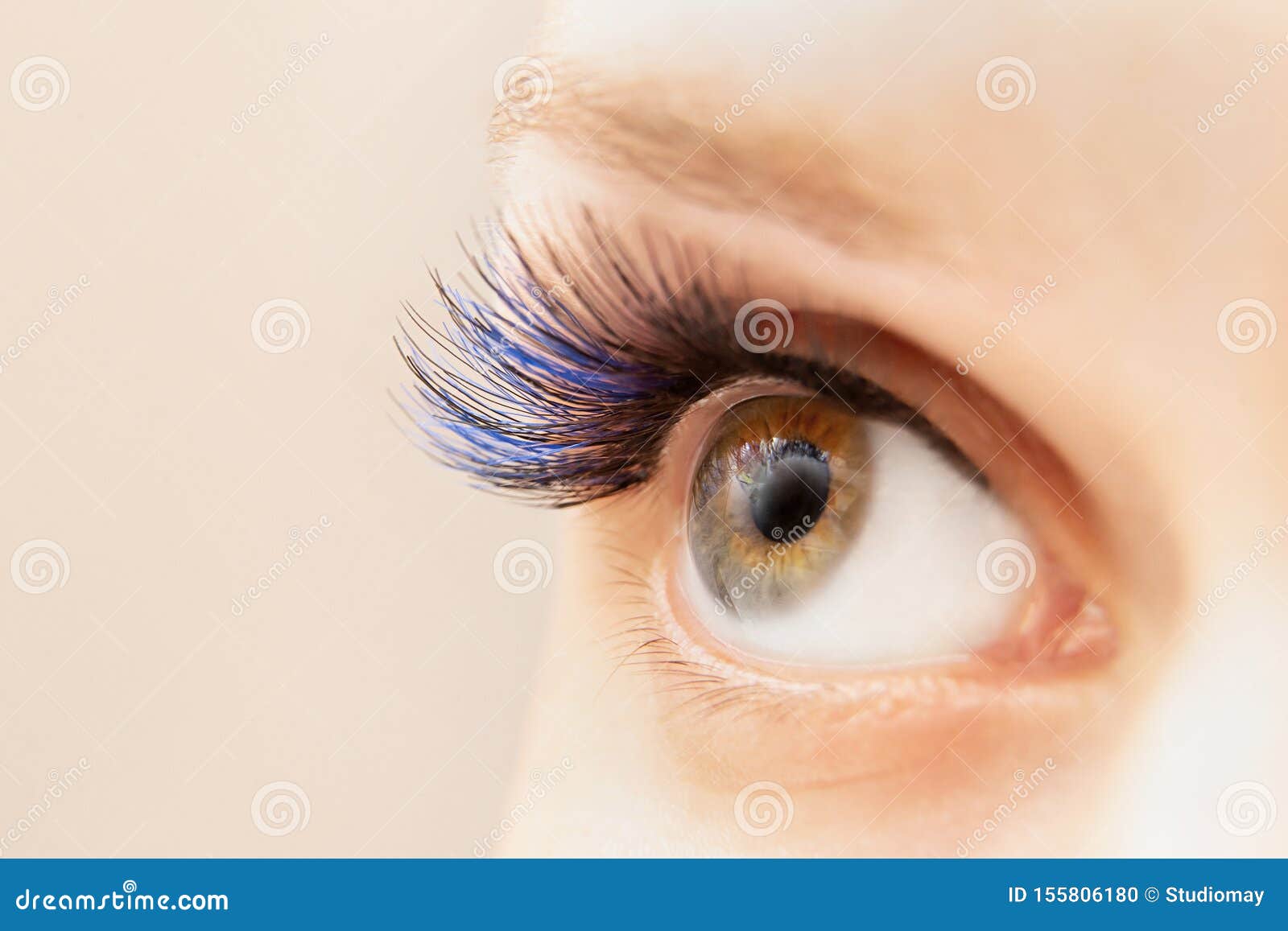 blue color eyelash extensions. trendy false lash style close-up, eye macro