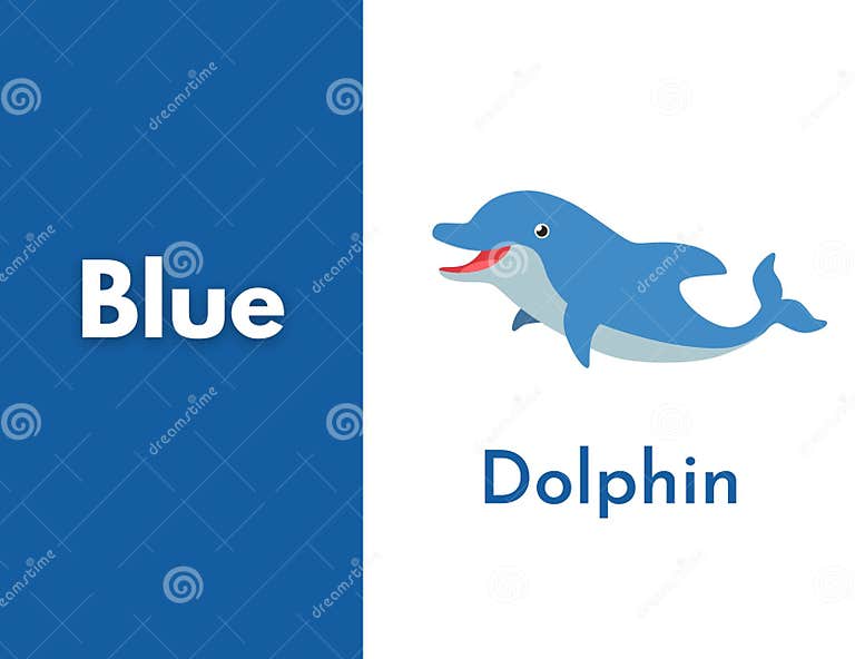 Blue Color Picture with Example, Dolphin Blue Color, Kids Learning 1