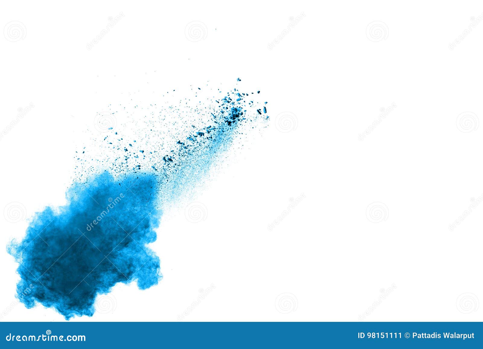 Powderblue Surgeonfish Stock Photo 36237012