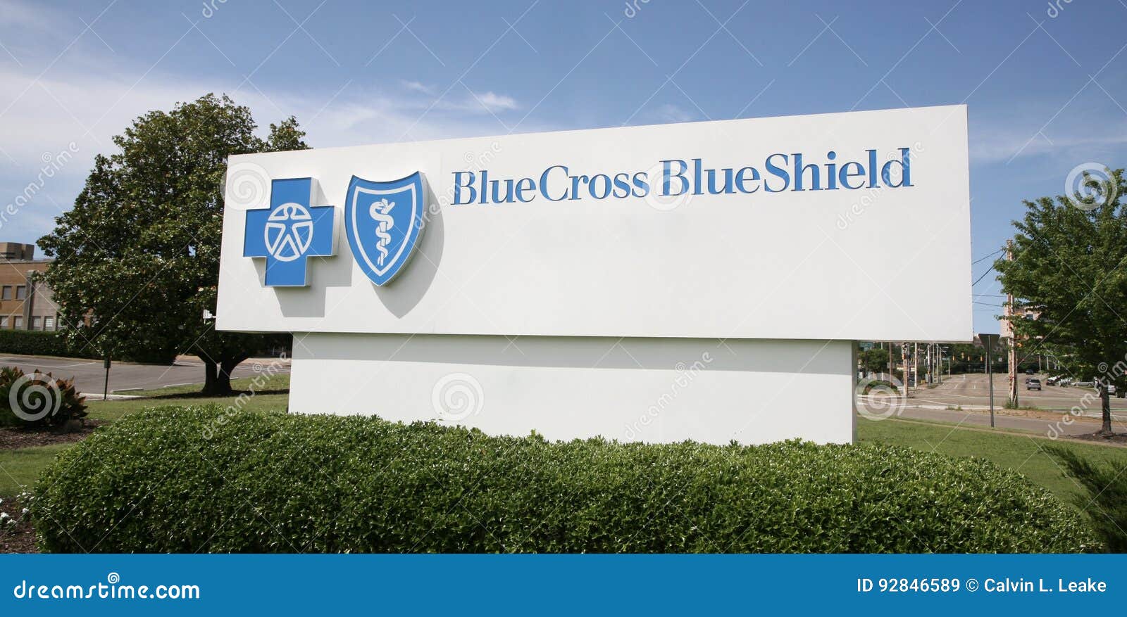 Blue Shield Medical Insurance / Health insurance consumer claims