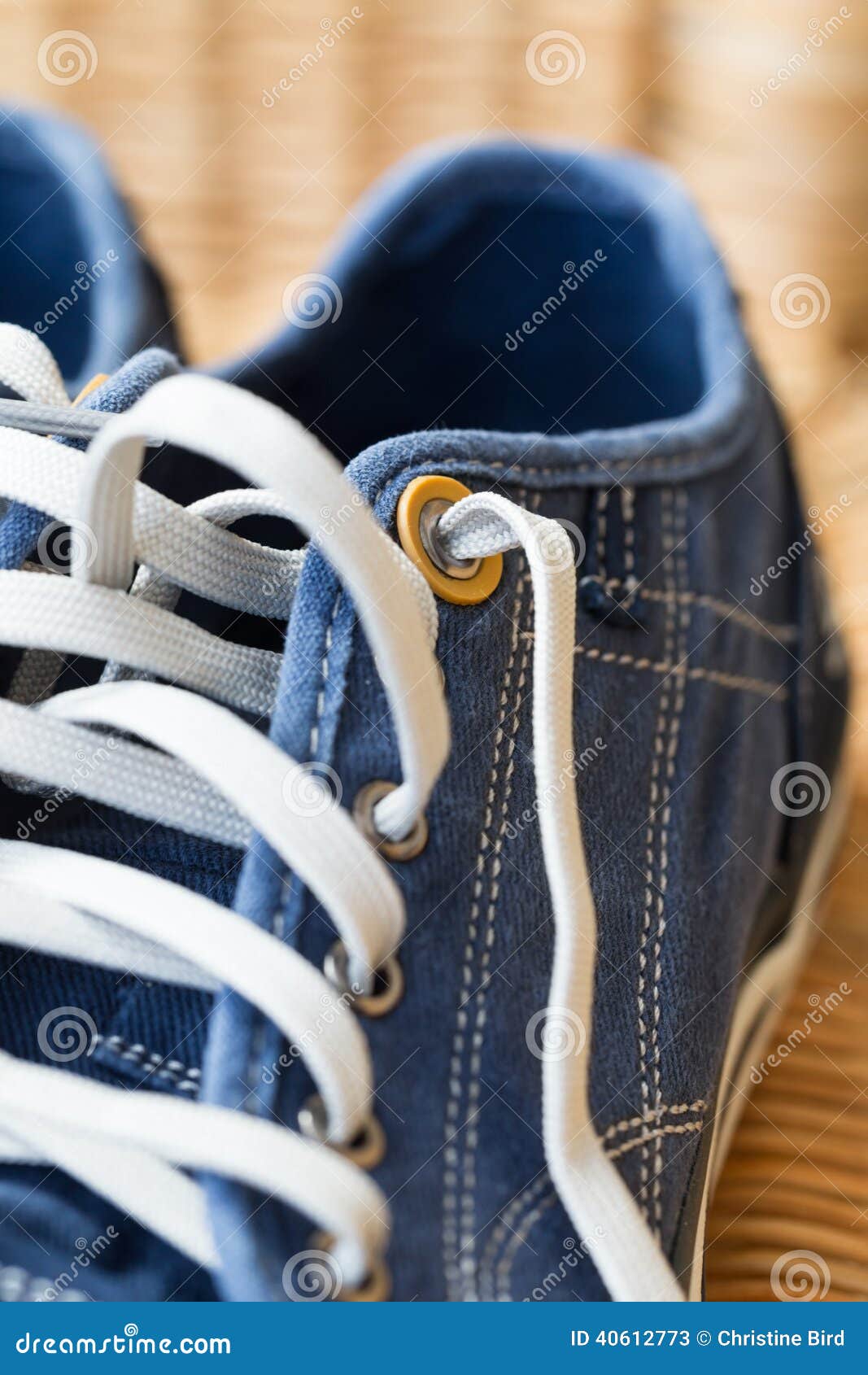 Blue Denim Casual Canvas Shoe with Laces Stock Image Image of blue