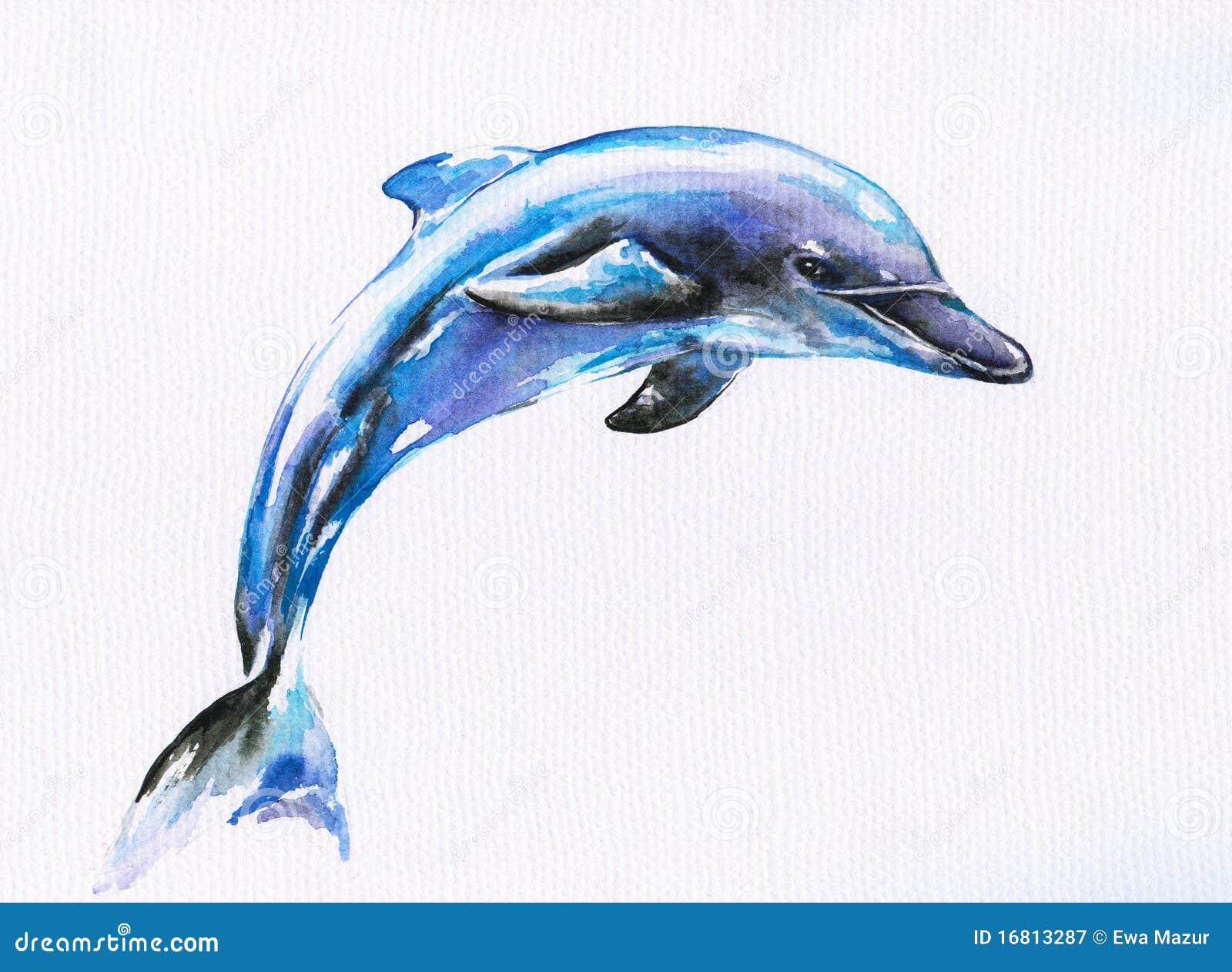 Blue Dolphin As Aquatic Mammal With Streamlined Body And Flippers