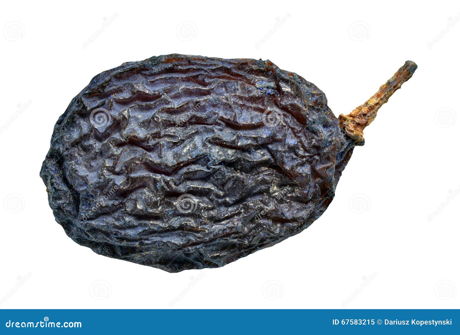 Blue dry grape stock image. Image of raisin, grape, closeup - 67583215