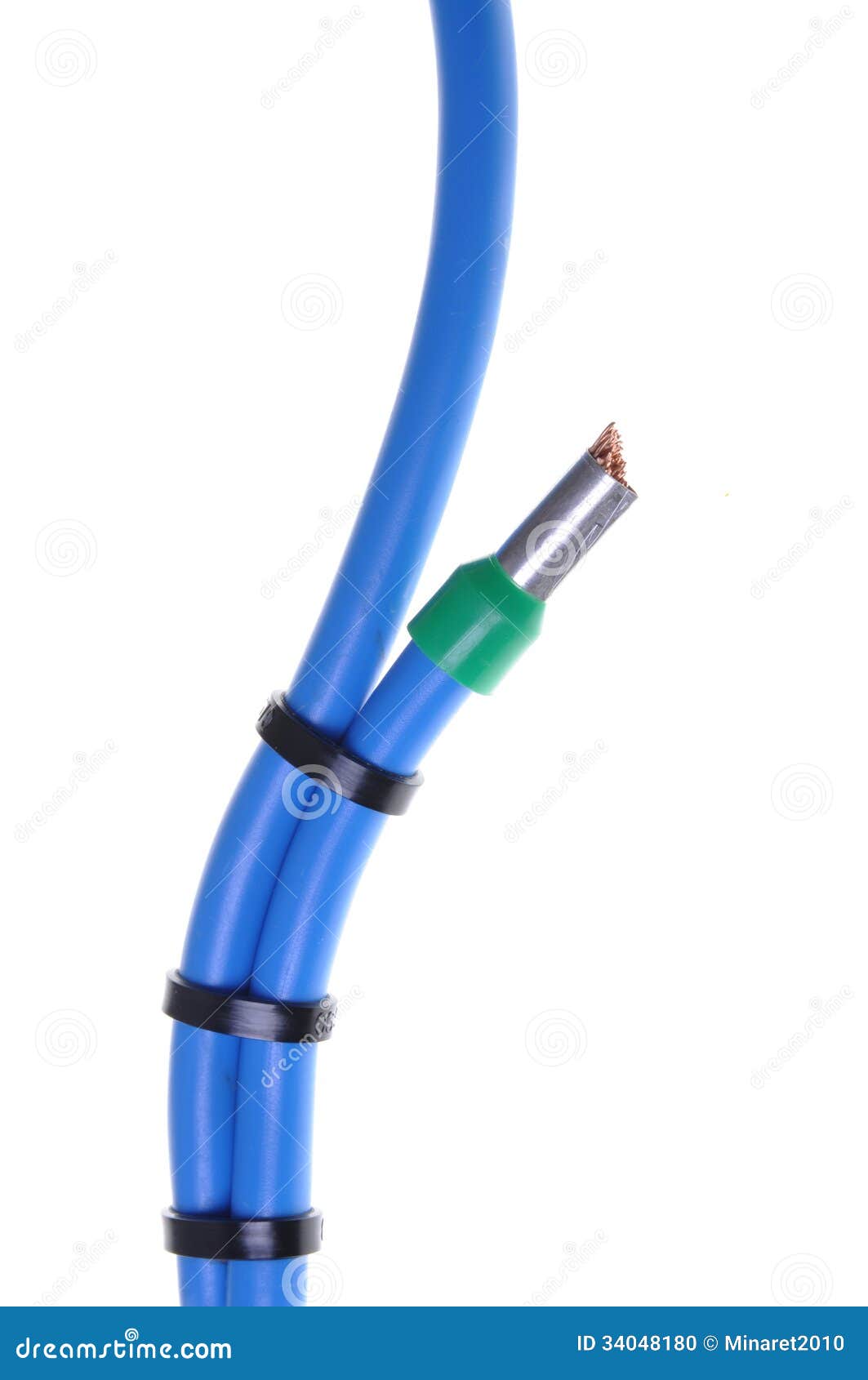 Blue Electrical Cables with Cable Ties Stock Photo Image of isolated