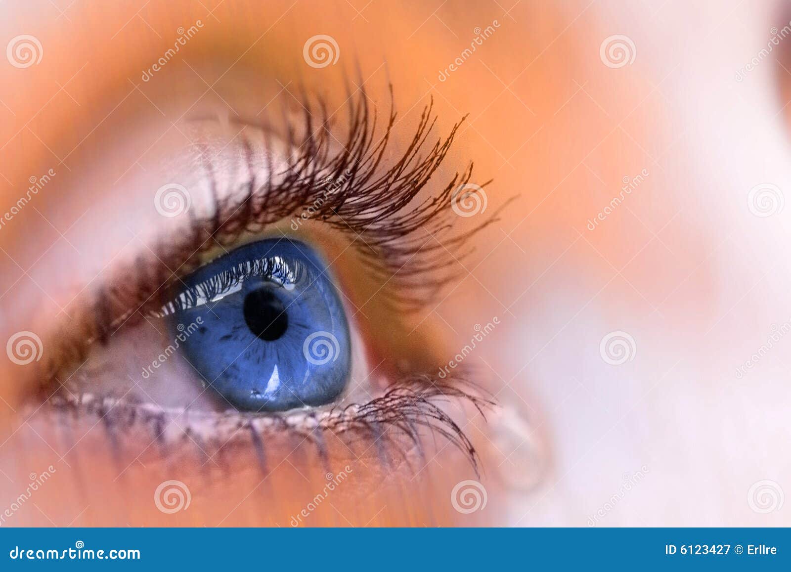 Blue eye stock image. Image of look, pupils, looking, hair - 6123427