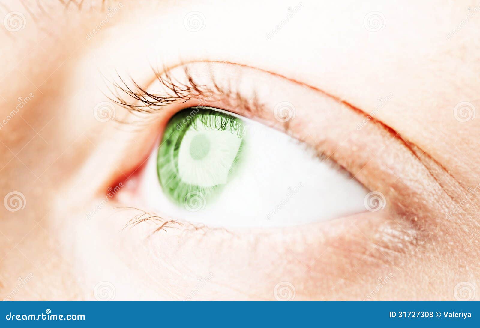 Blue eye stock photo. Image of abstract, girls, look - 31727308