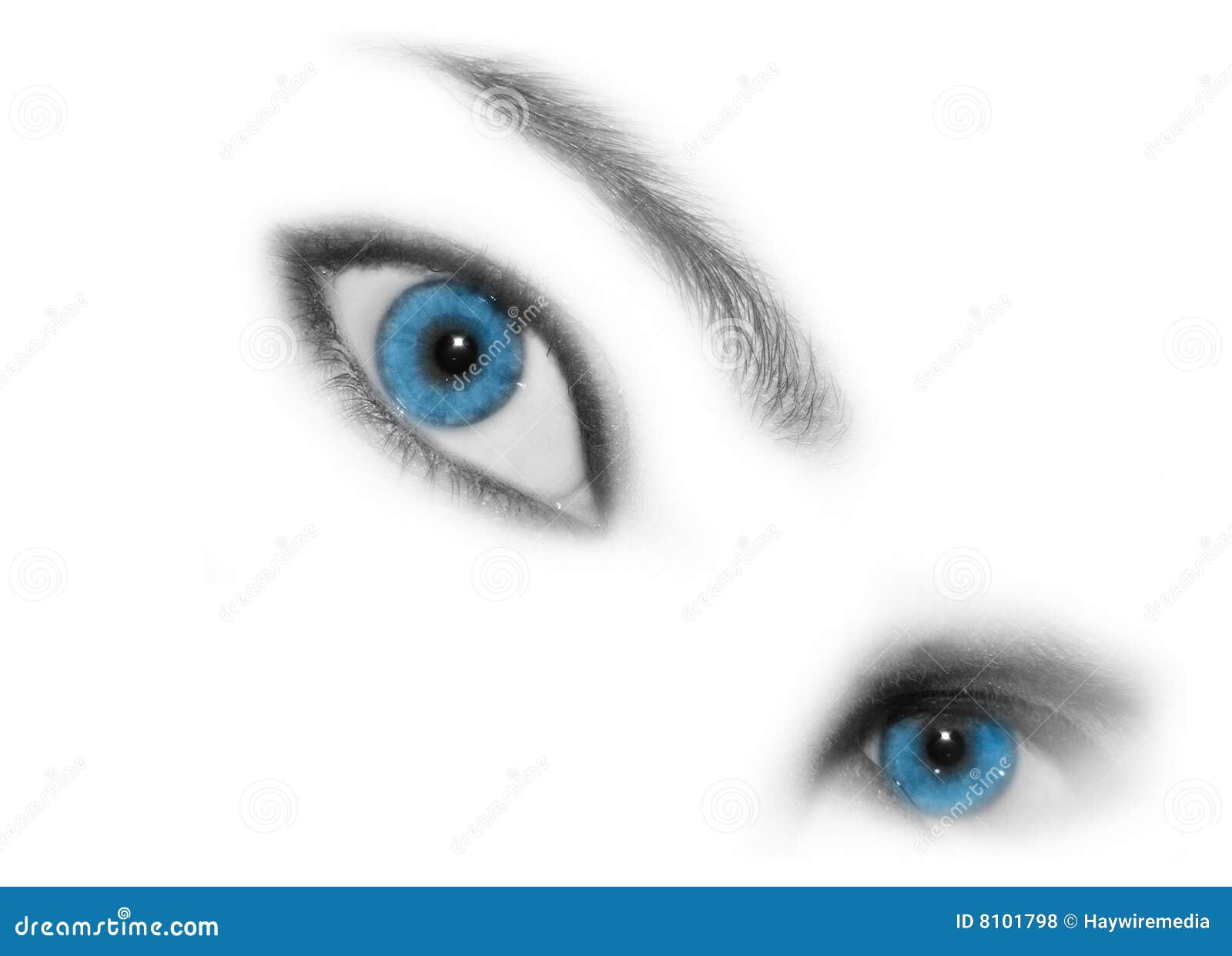 Blue Eye Stare stock photo. Image of look, backdrops, cosmetic - 8101798