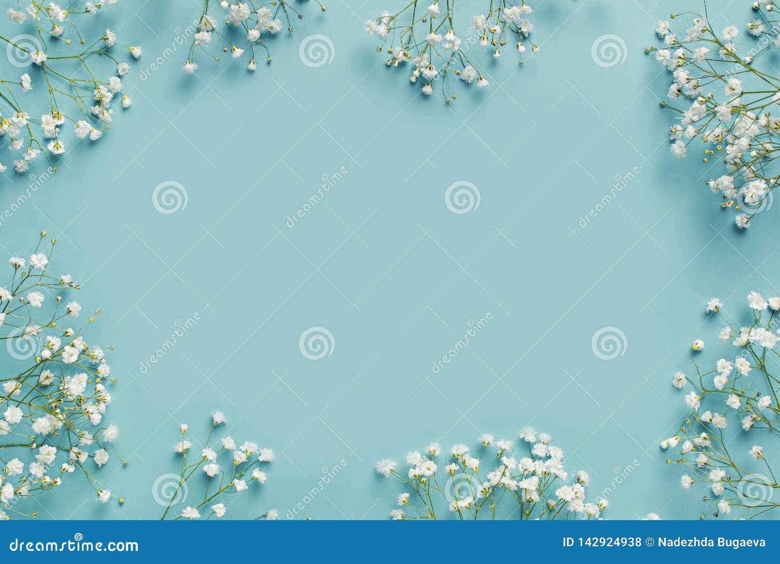 blue fashion, flowers flat lay background
