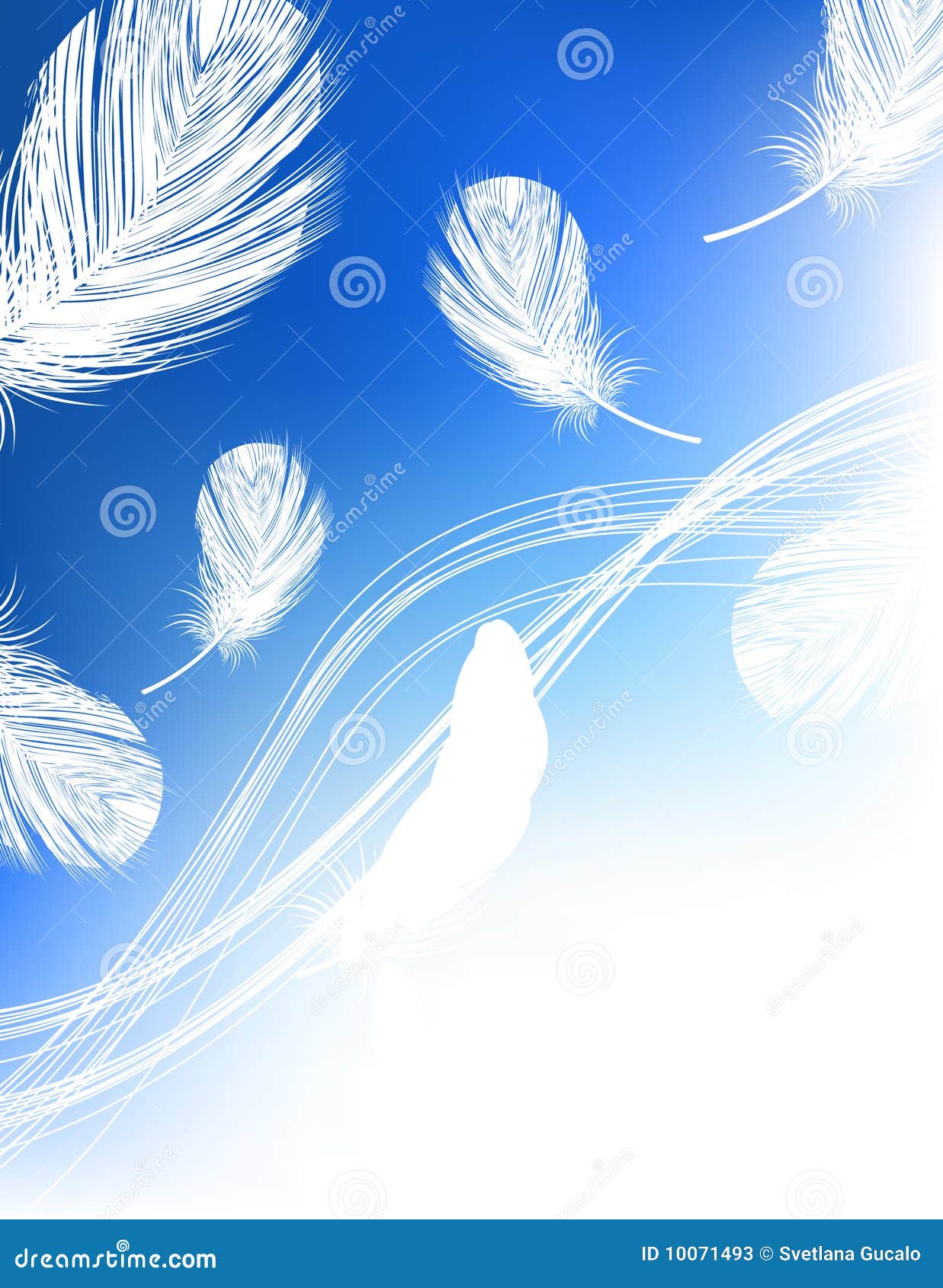 Blue feather background stock illustration. Illustration of flying 10071493