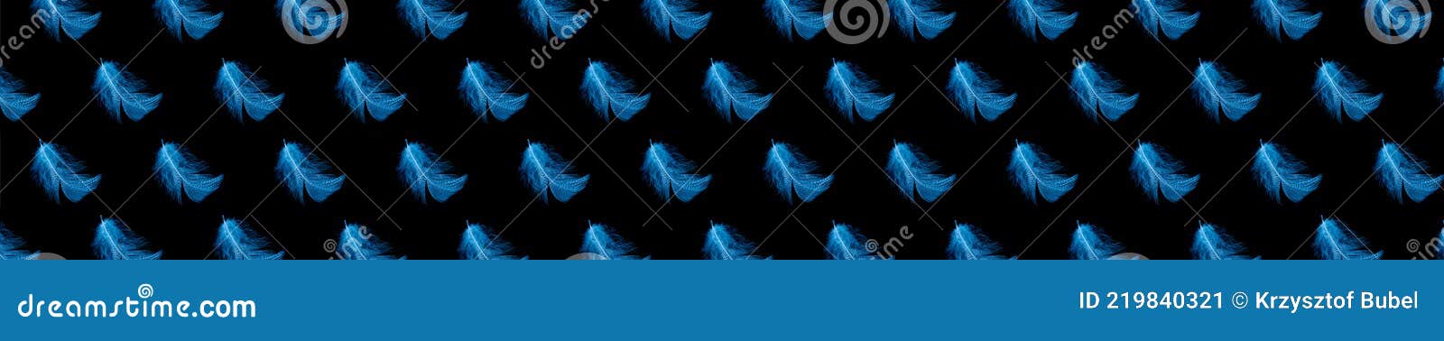 blue feathers on a black background. textura