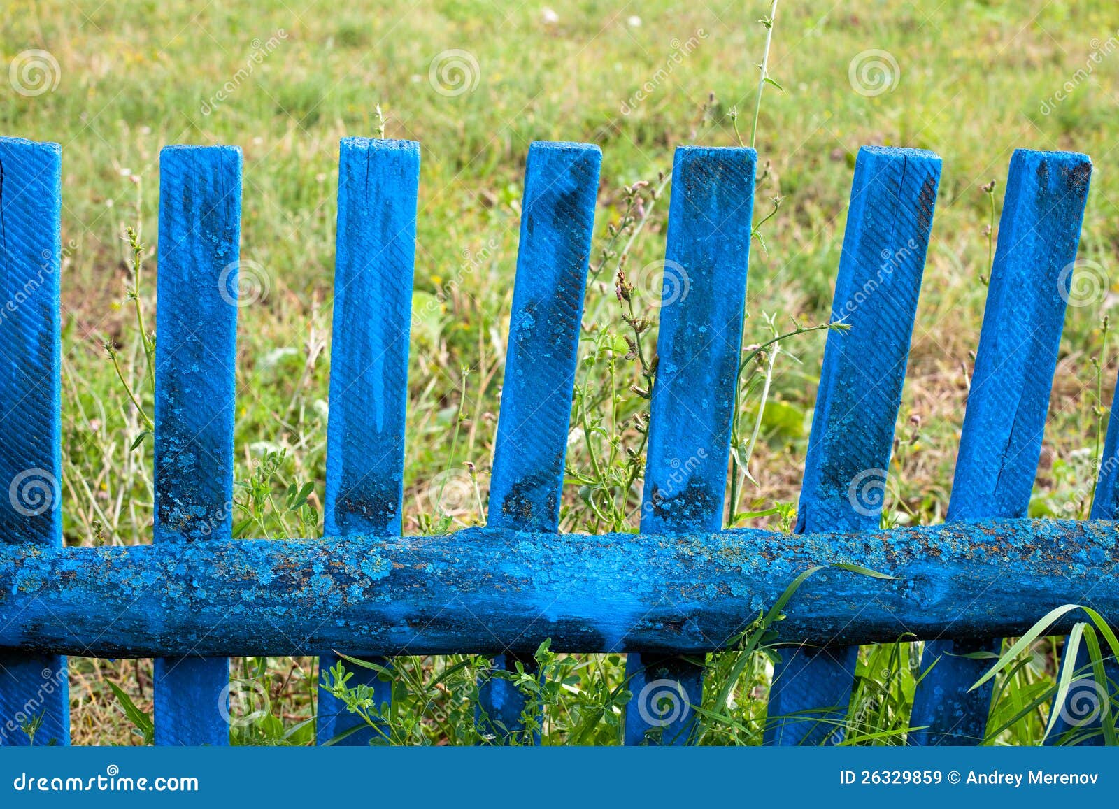Blue fence stock image. Image of blue, fence, grass, boards 26329859