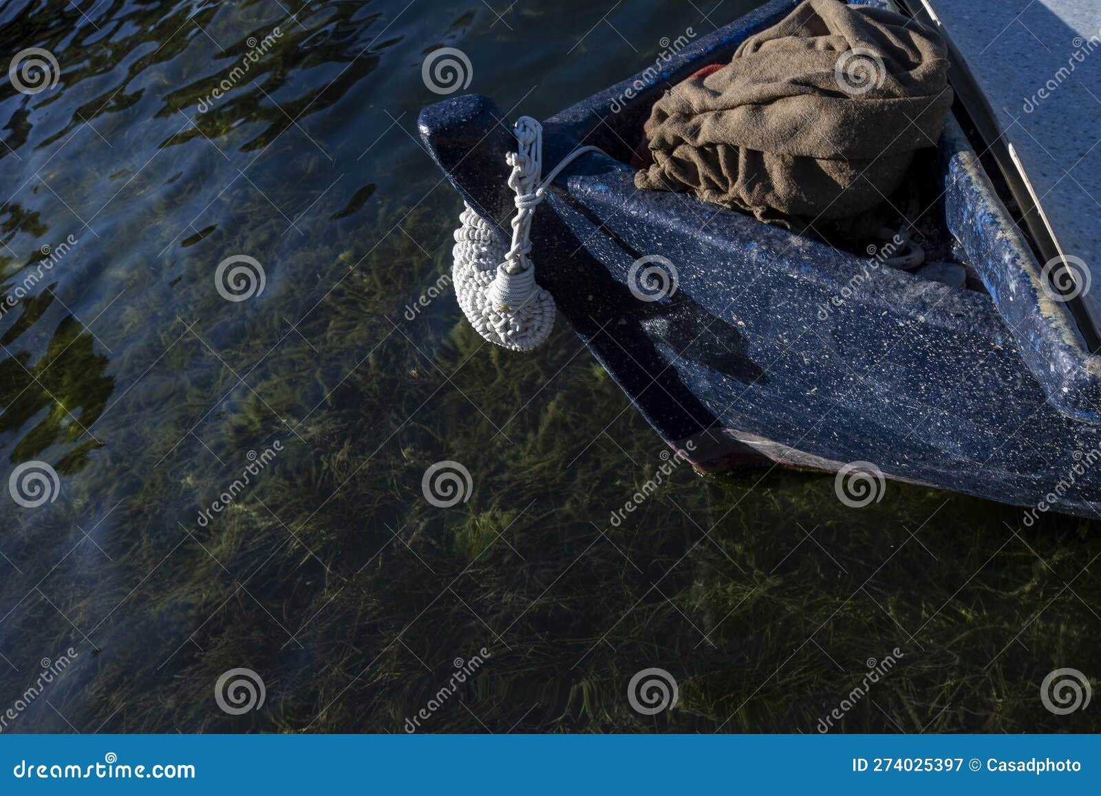 Blue Fishing Boat Over Dark Water and Aquatic Plants. Ston