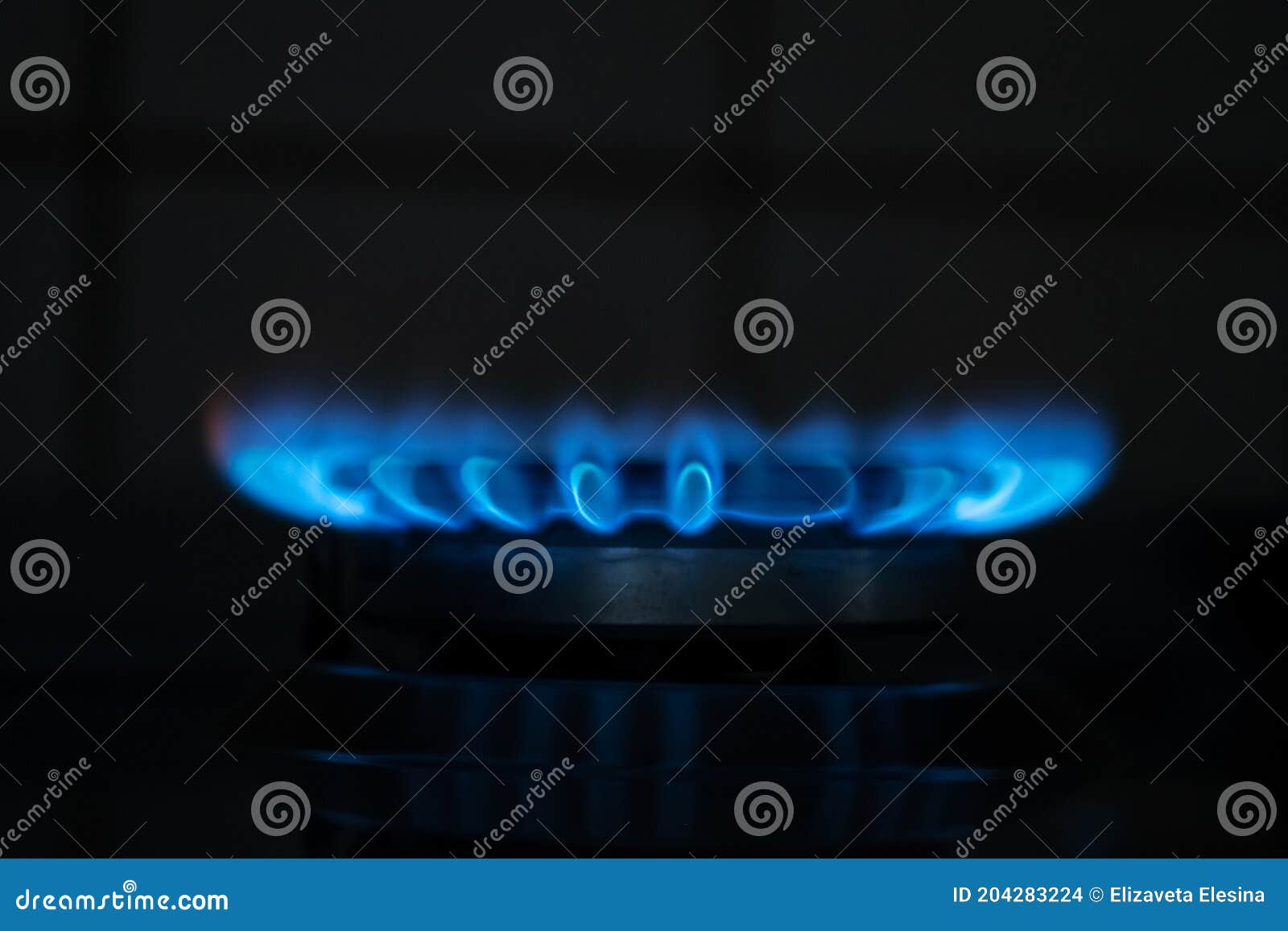 Blue Flame Gas in the Dark. Burning Gas, Gas Stove Burner, Hob in the