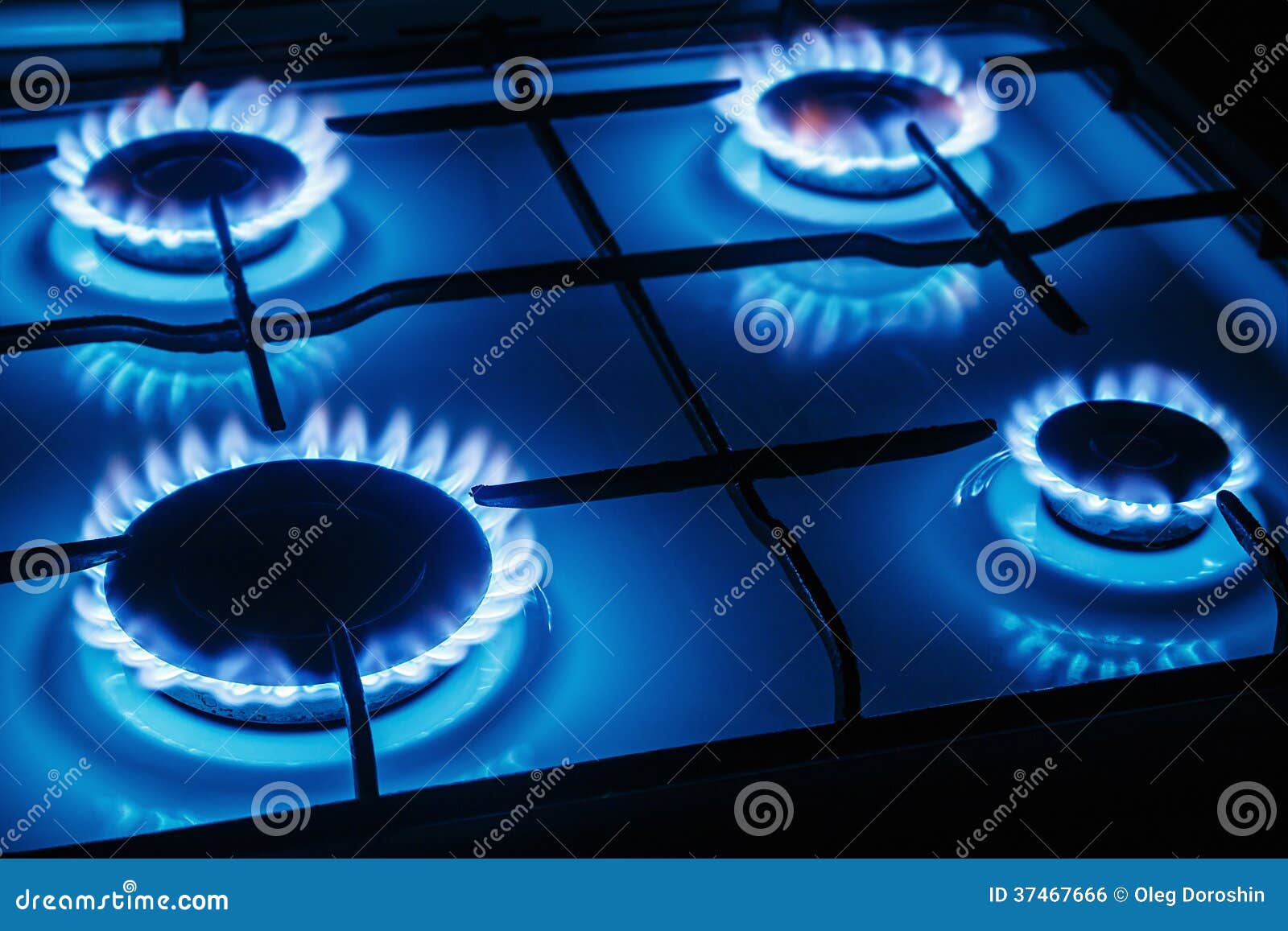 Blue Flames of Gas Burning from Stock Photo Image of appliance, fuel