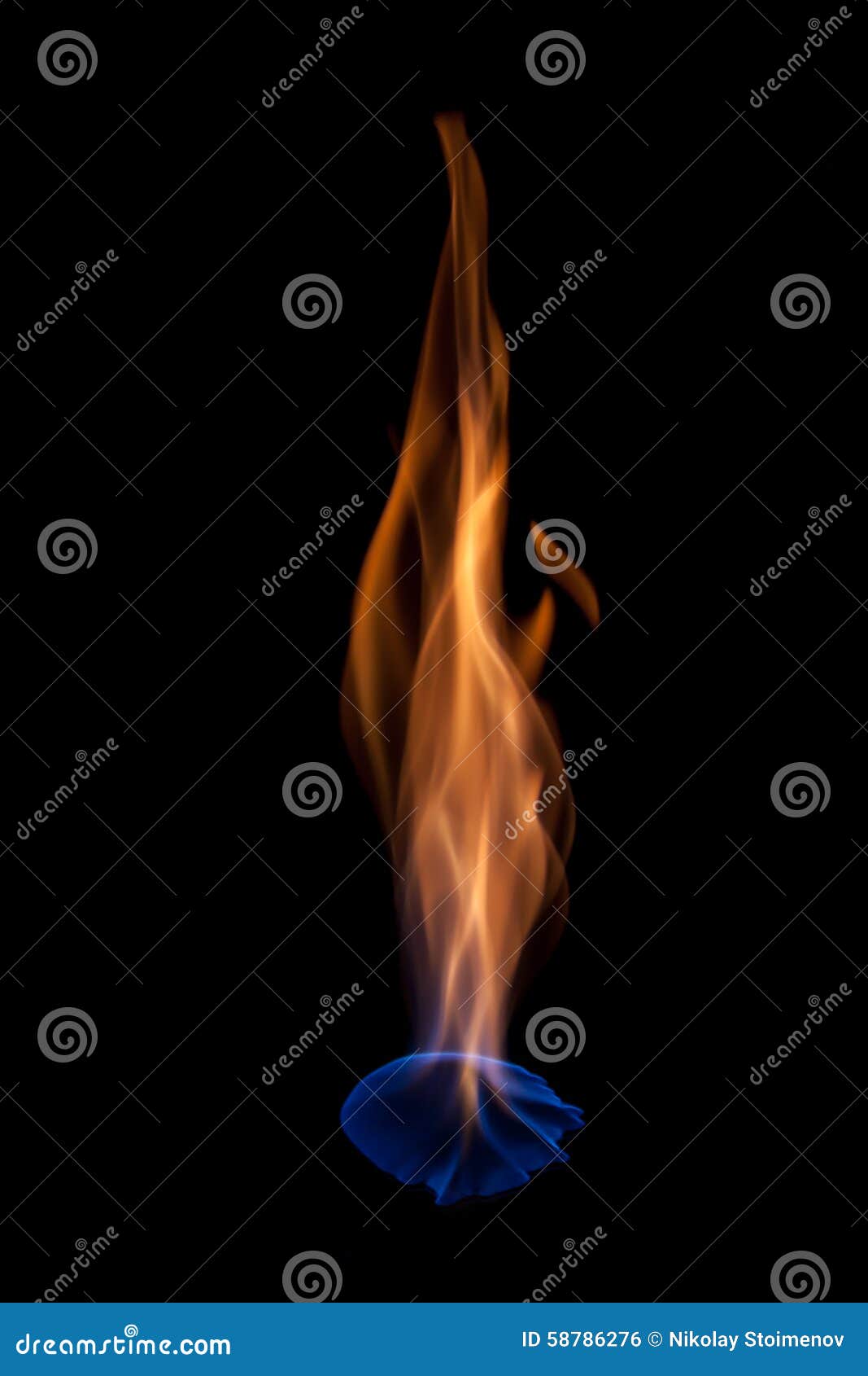 Blue flames stock photo. Image of fire, black, alcohol 58786276