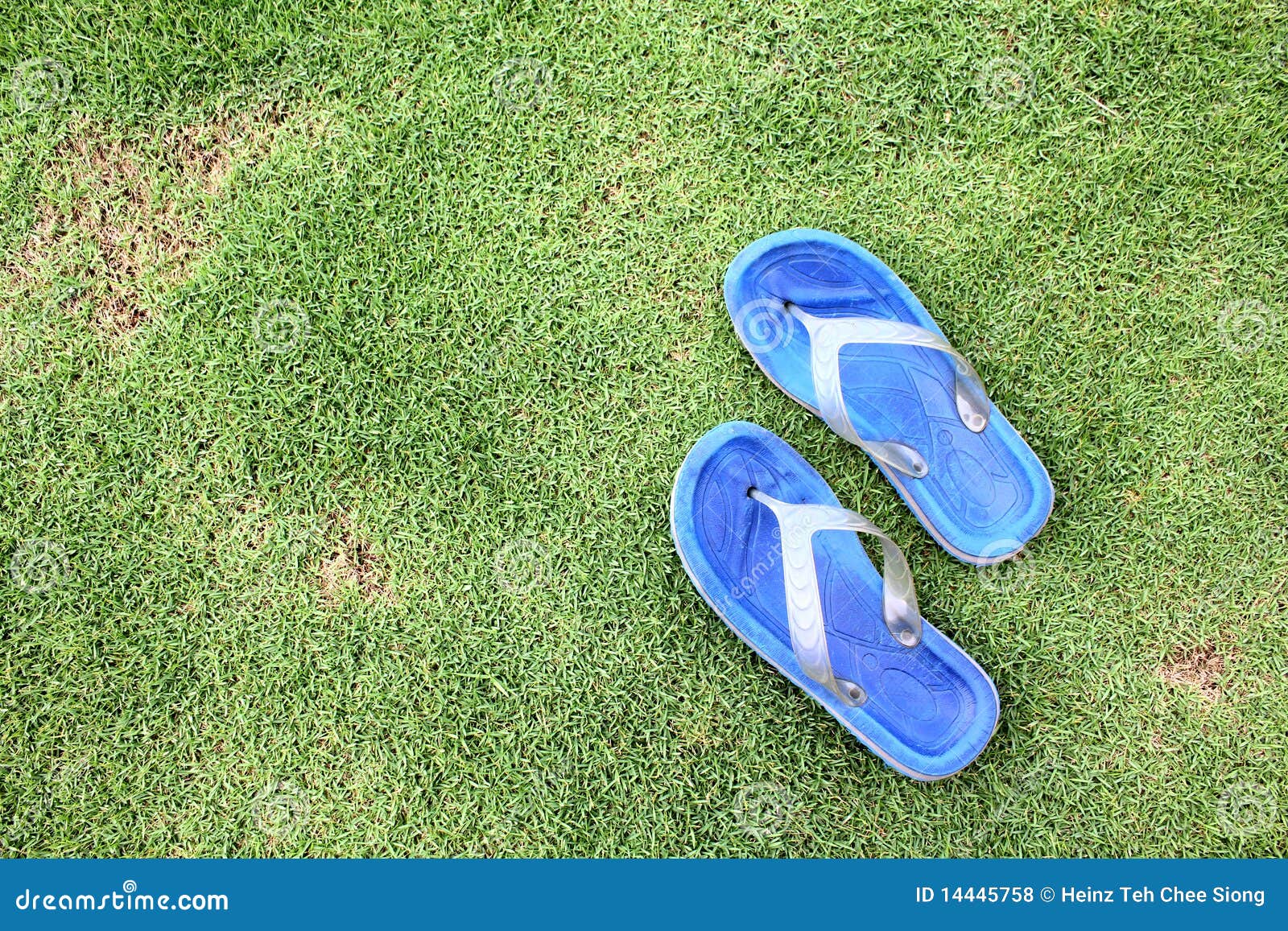 Blue Flip Flop stock photo. Image of grass, holiday, playful - 14445758