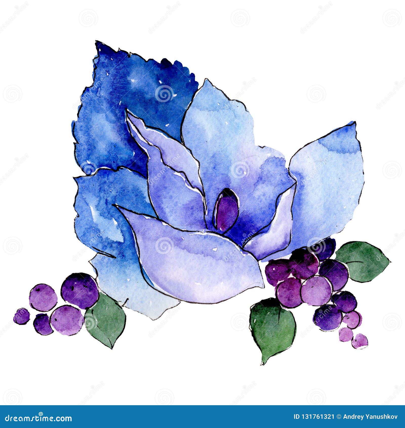 Blue Flower. Isolated Flower Illustration Element. Background Illustration  Set. Watercolour Drawing Aquarelle Bouquet. Stock Illustration -  Illustration of 2270, paint: 131761321