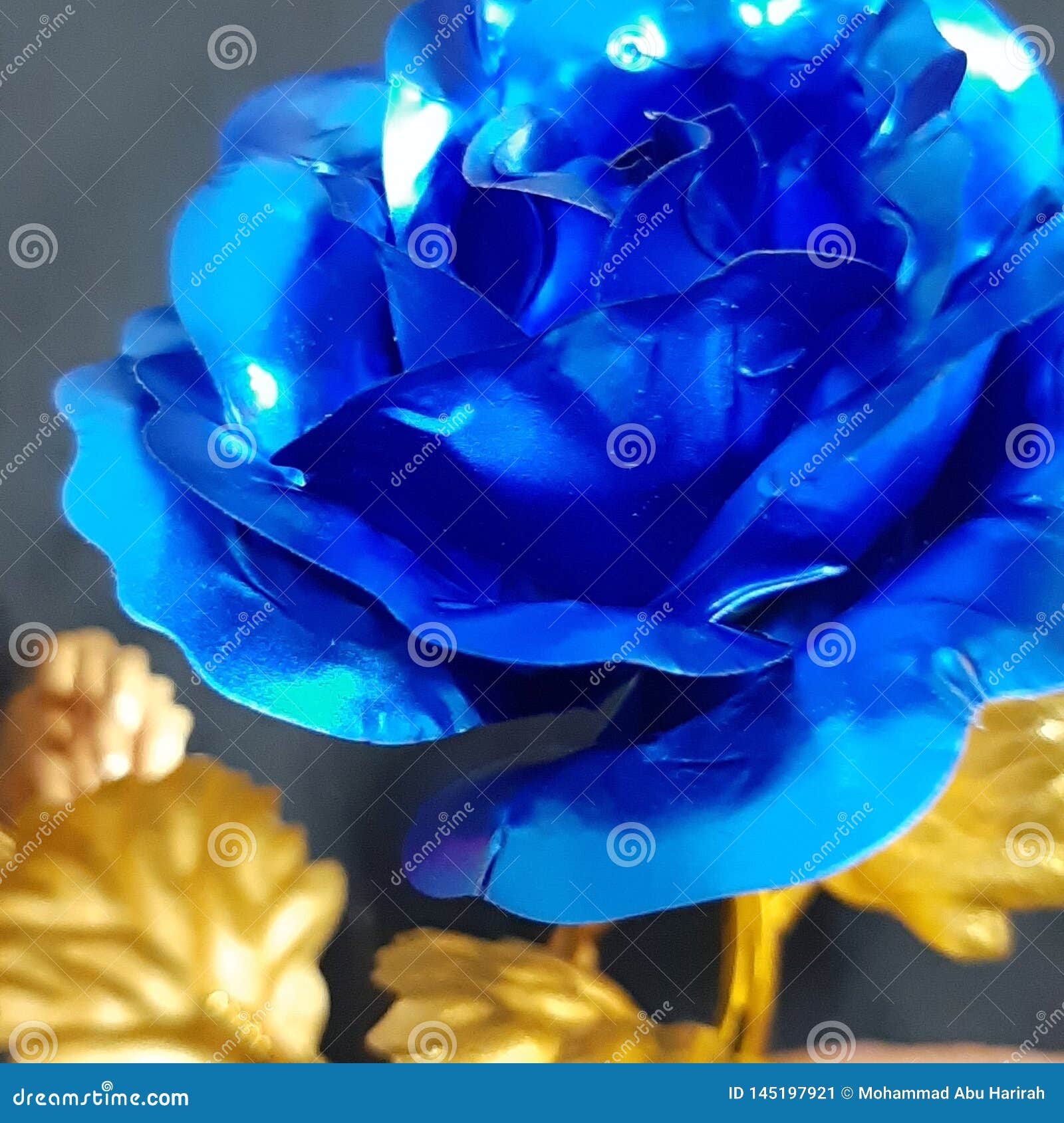 Blue flower with gold leaf stock image. Image of rose 145197921