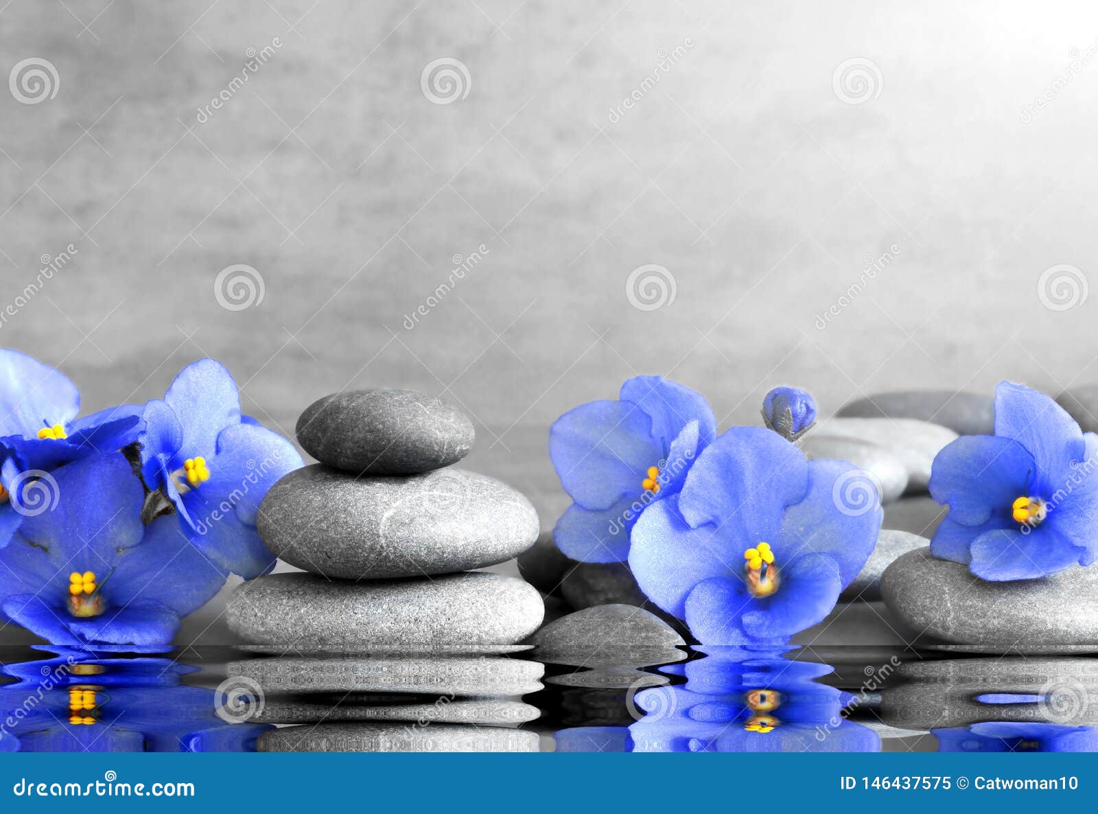 42,528 Blue Flower Spa Stock Photos - Free & Royalty-Free Stock Photos from  Dreamstime