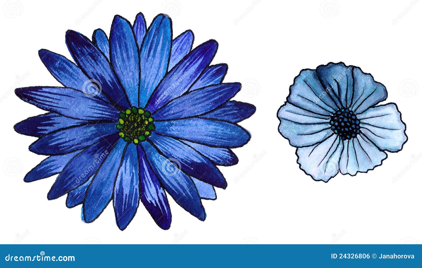 Blue flowers stock illustration. Illustration of blue - 24326806