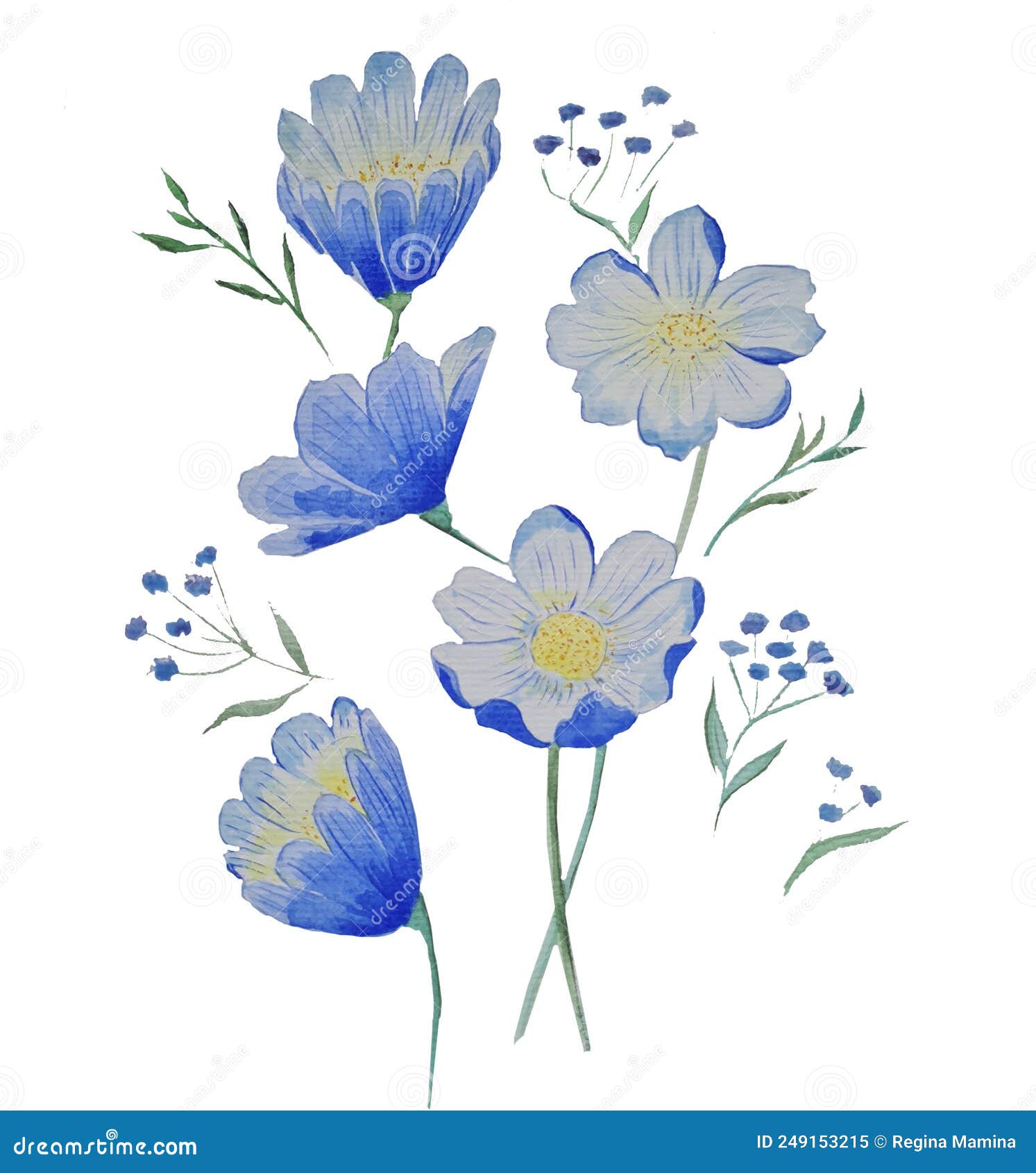 Blue Flowers,small and Large Flowers with Green Petals Stock ...