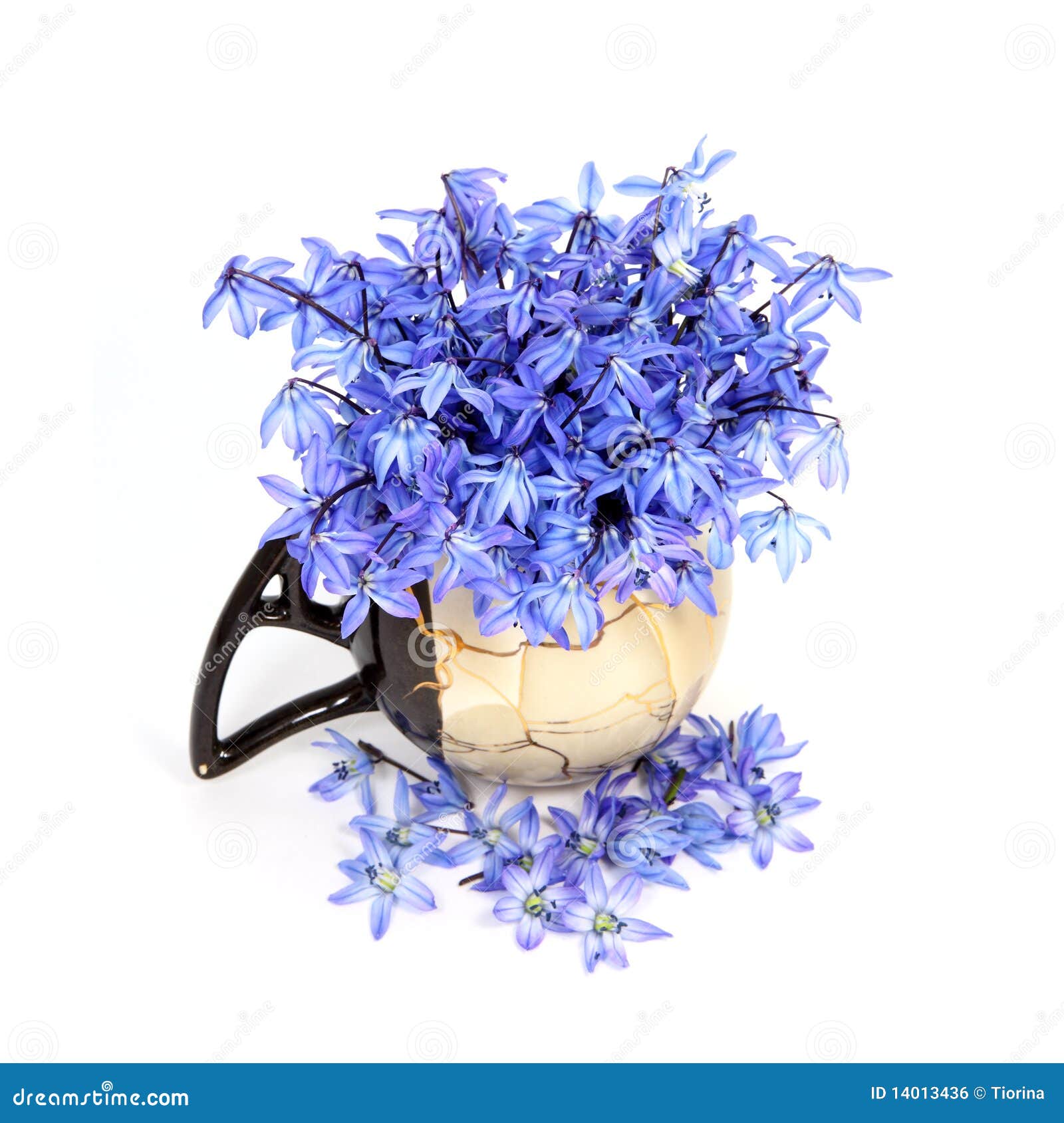 Blue Flowers In The Vase Royalty Free Stock Image Image 14013436