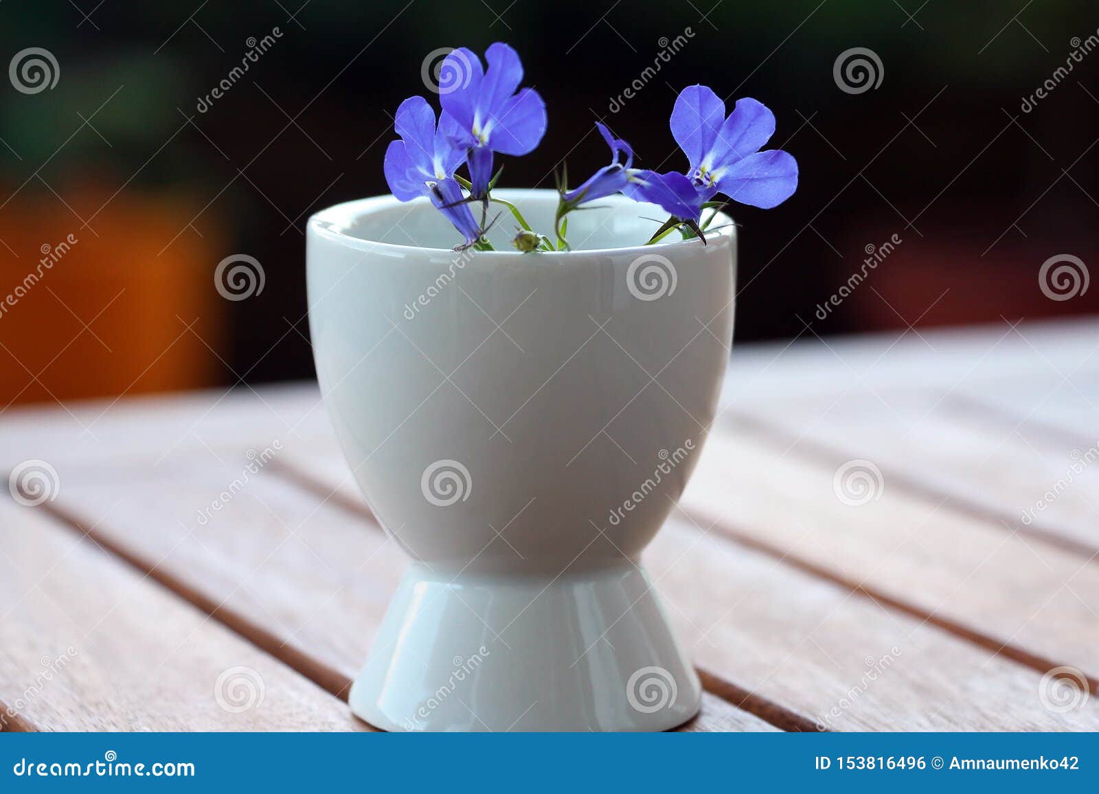 Blue Flowers in a White Vase Stock Photo Image of petals, celebration