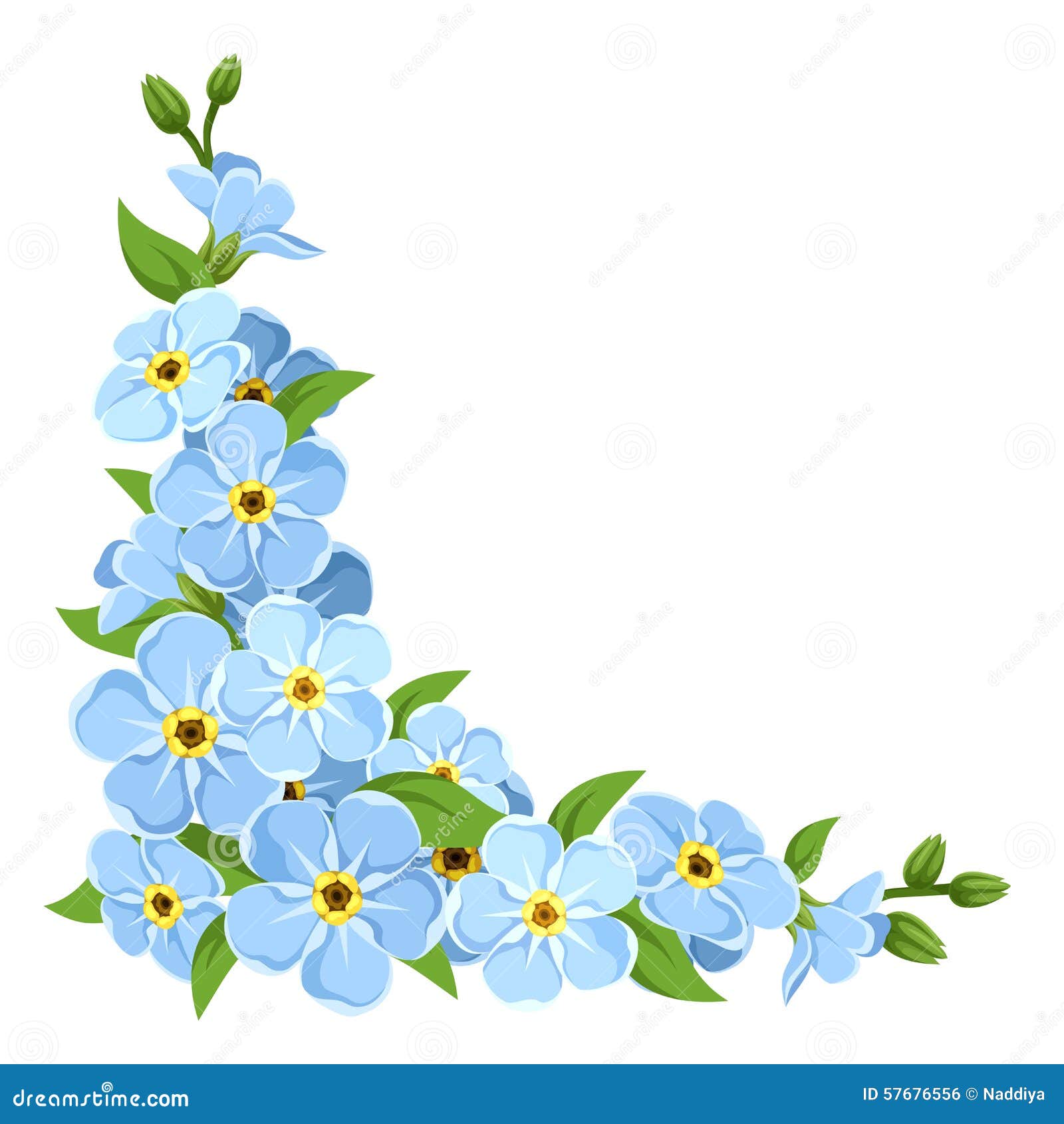 Forget me not flower colorful vector isolated Stock Vector Image