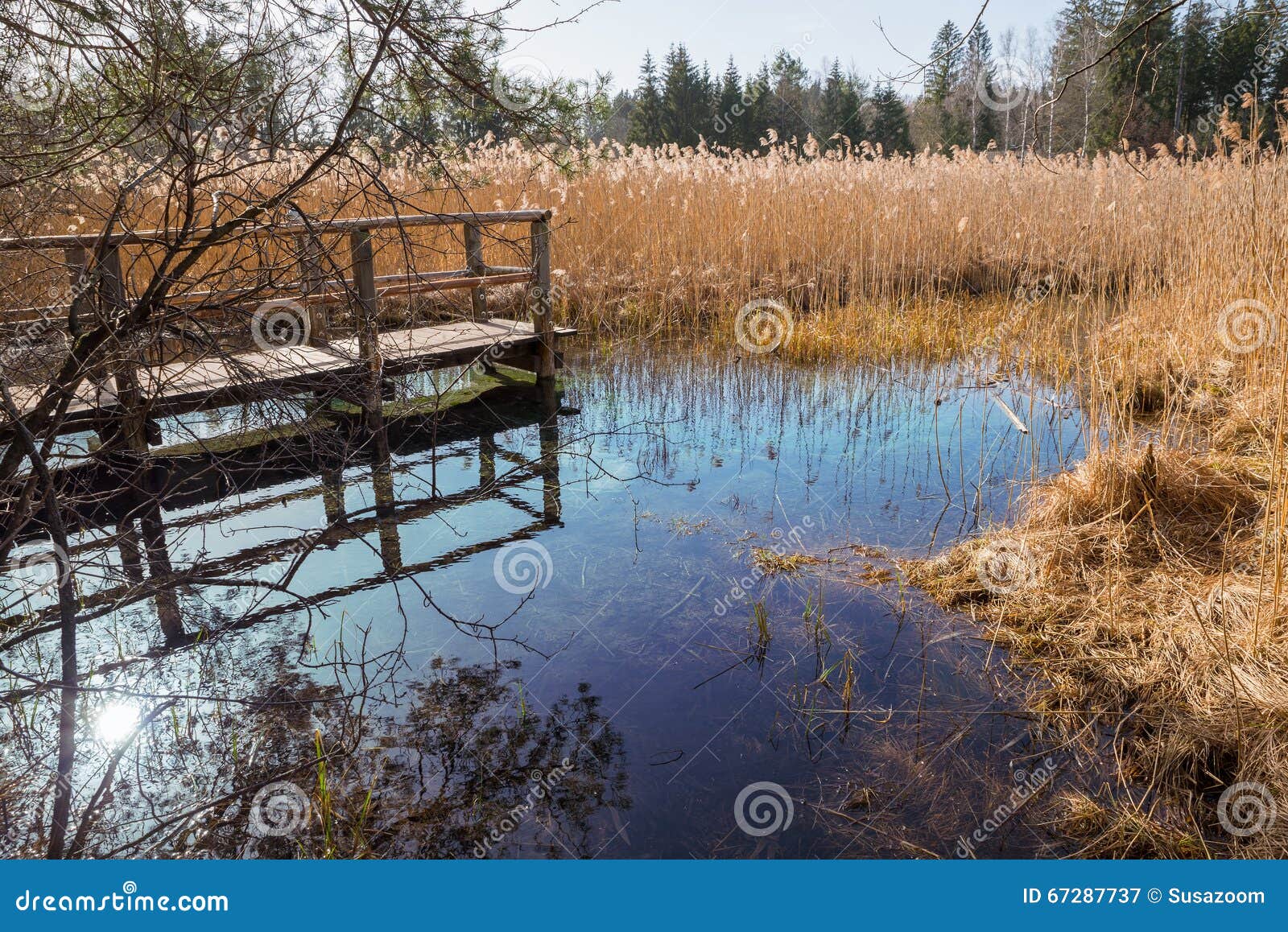 blue fount in the swamp, tourist attraction osterseen
