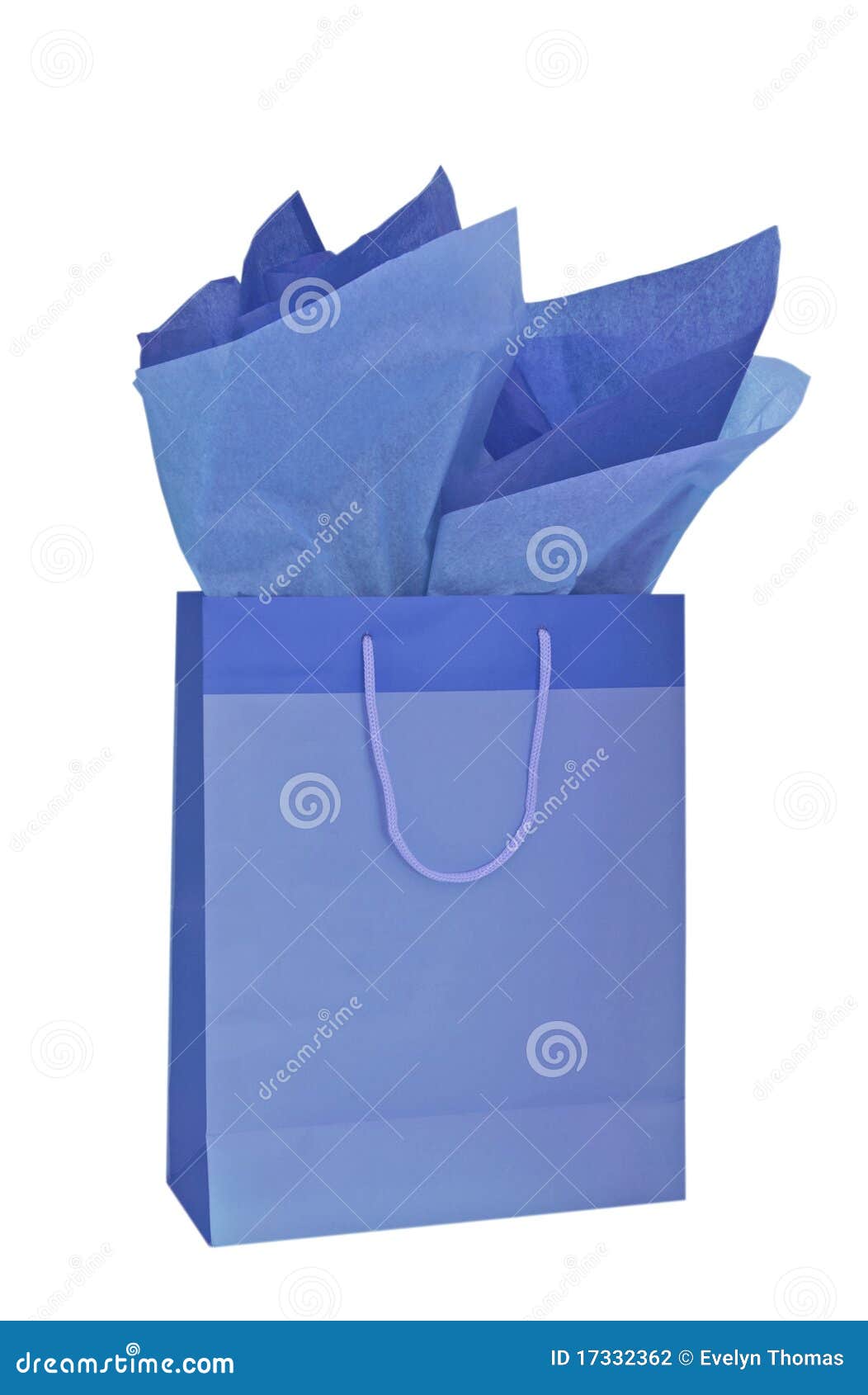 blue gift bag with tissue paper
