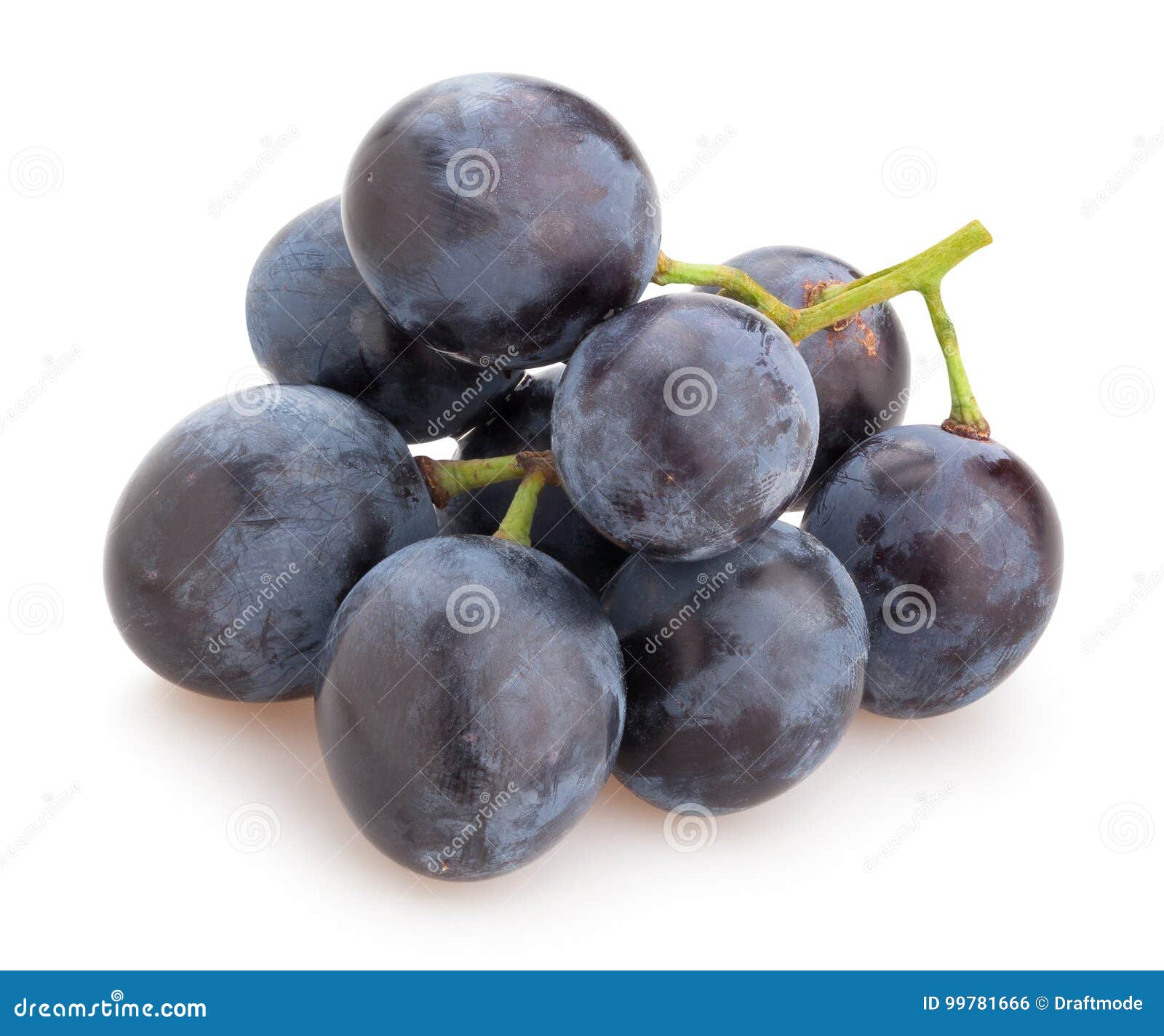Blue grapes stock photo. Image of natural, antioxidant 99781666