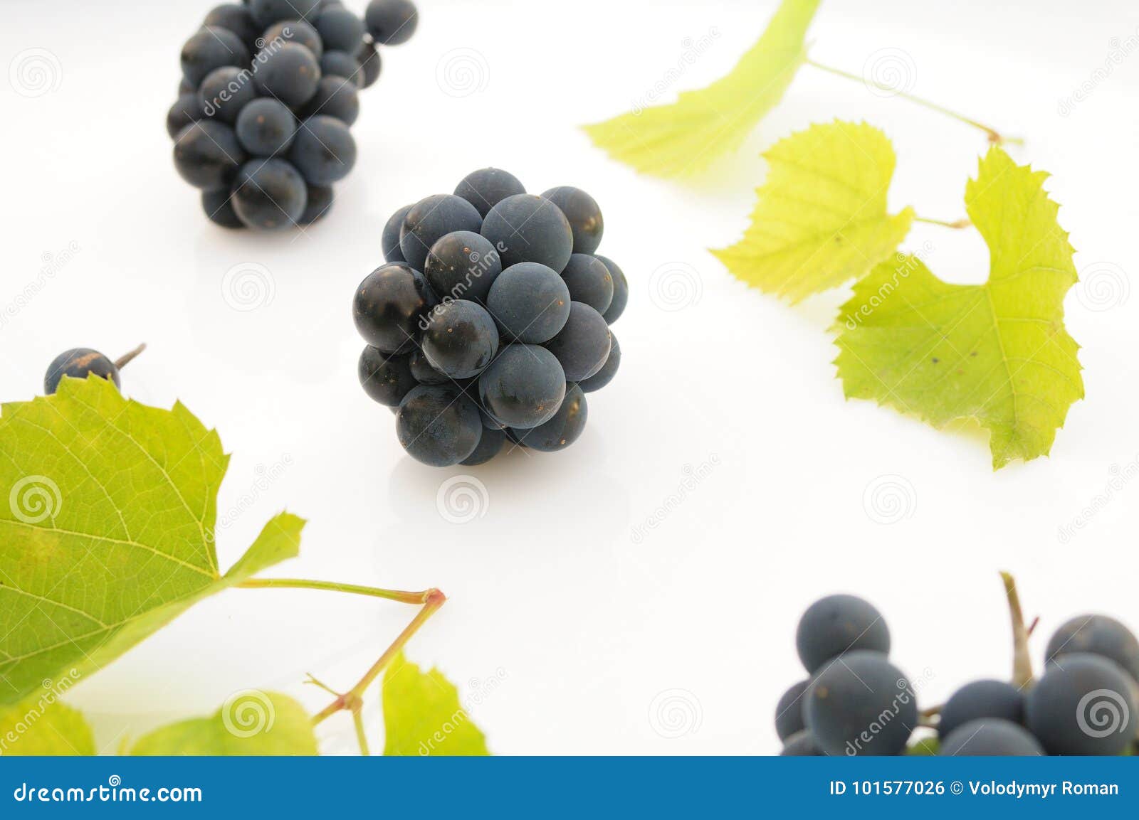 Blue Grapes on a White Background Stock Photo Image of beautiful
