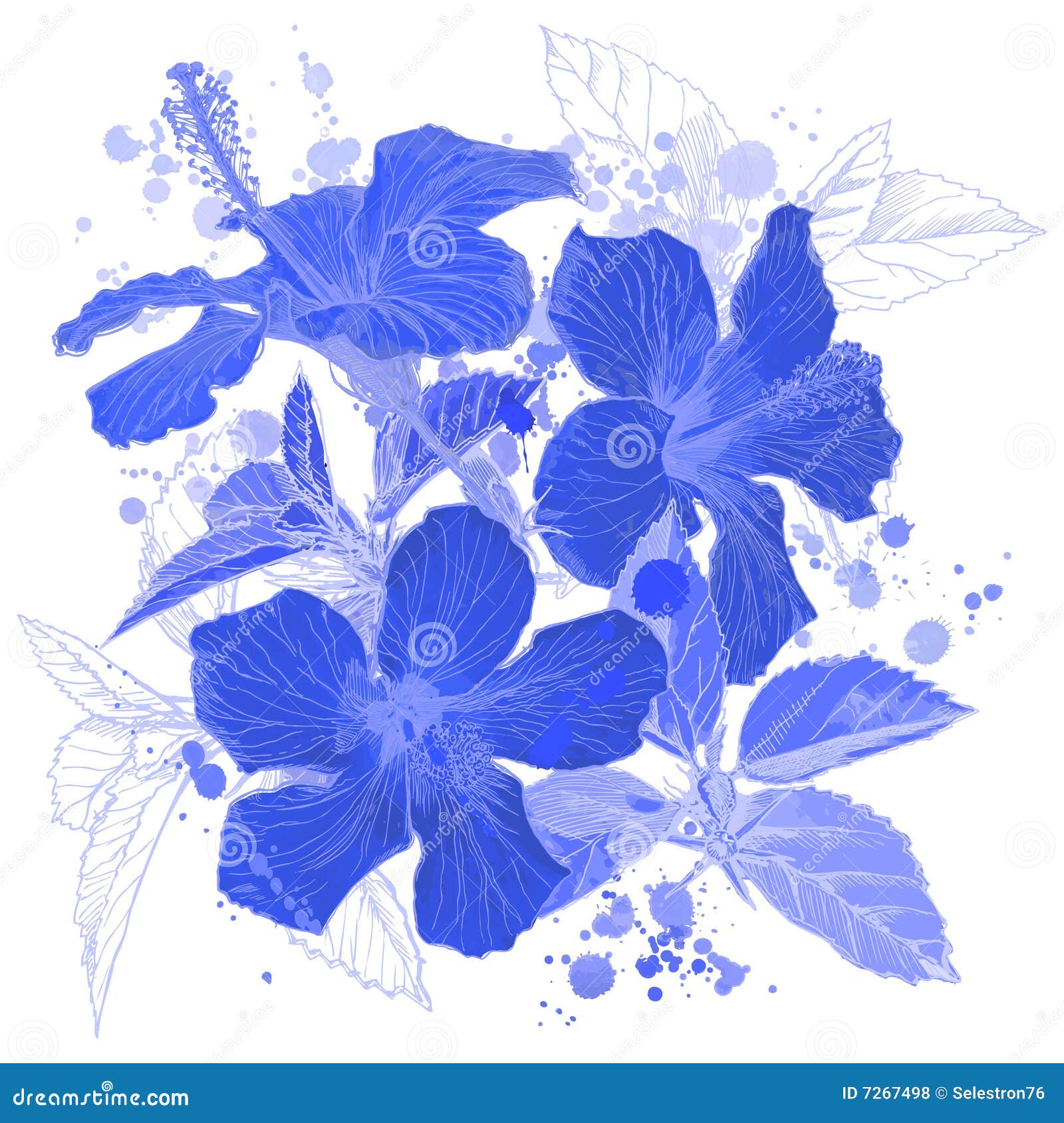 Blue Hibiscus flowers stock illustration. Illustration of background ...