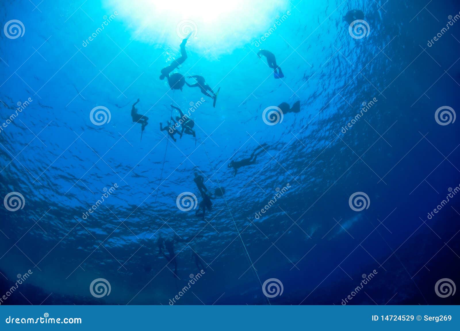 Blue Hole Freediving Training Stock Image Image of adventure