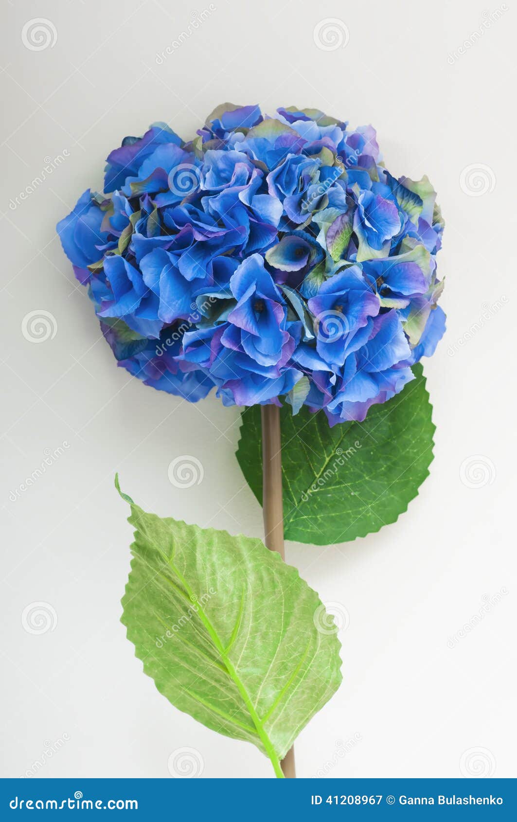 Blue Hydrangea of Artificial Flower. Stock Image Image of background